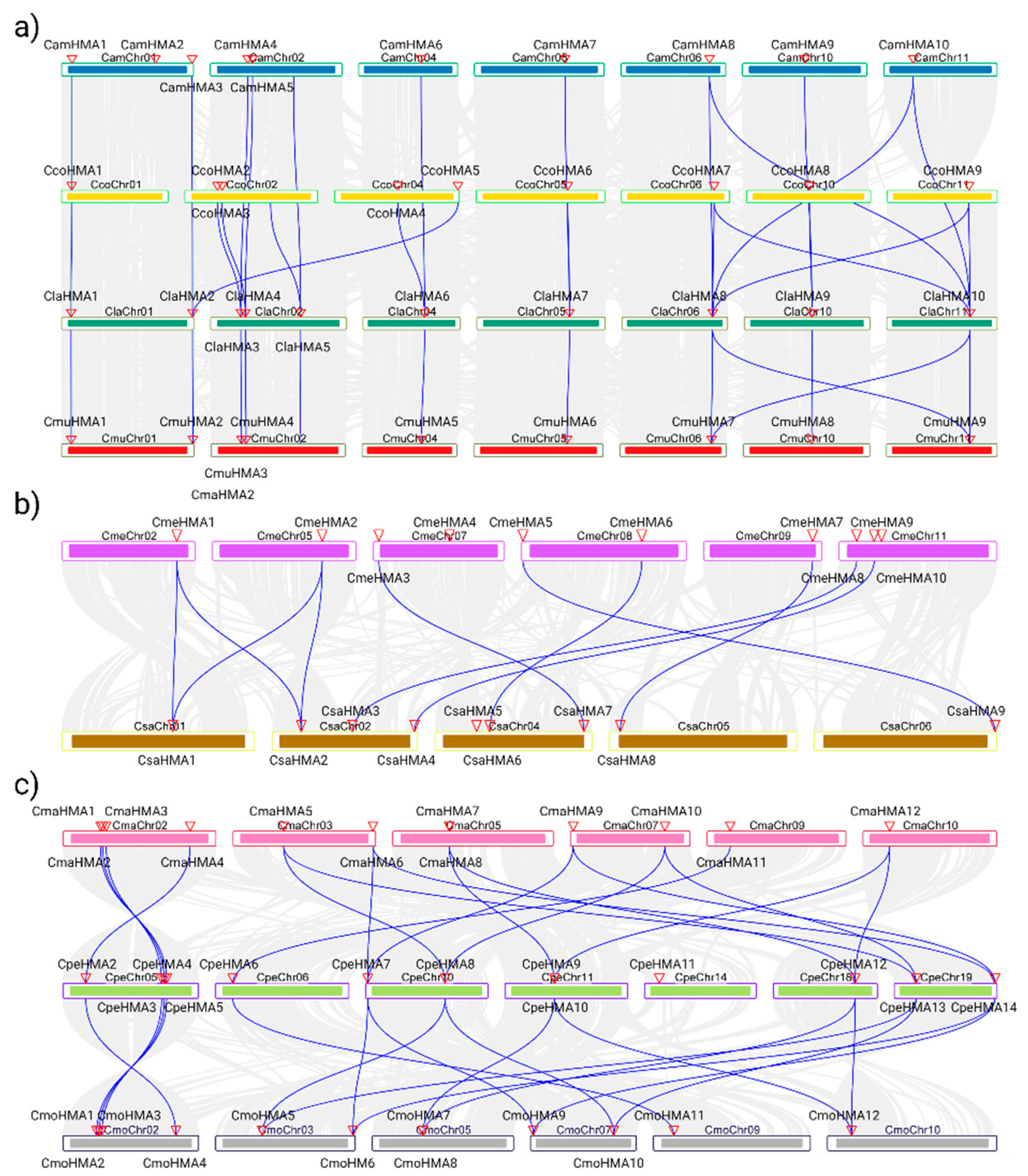 Preprints 85363 g004