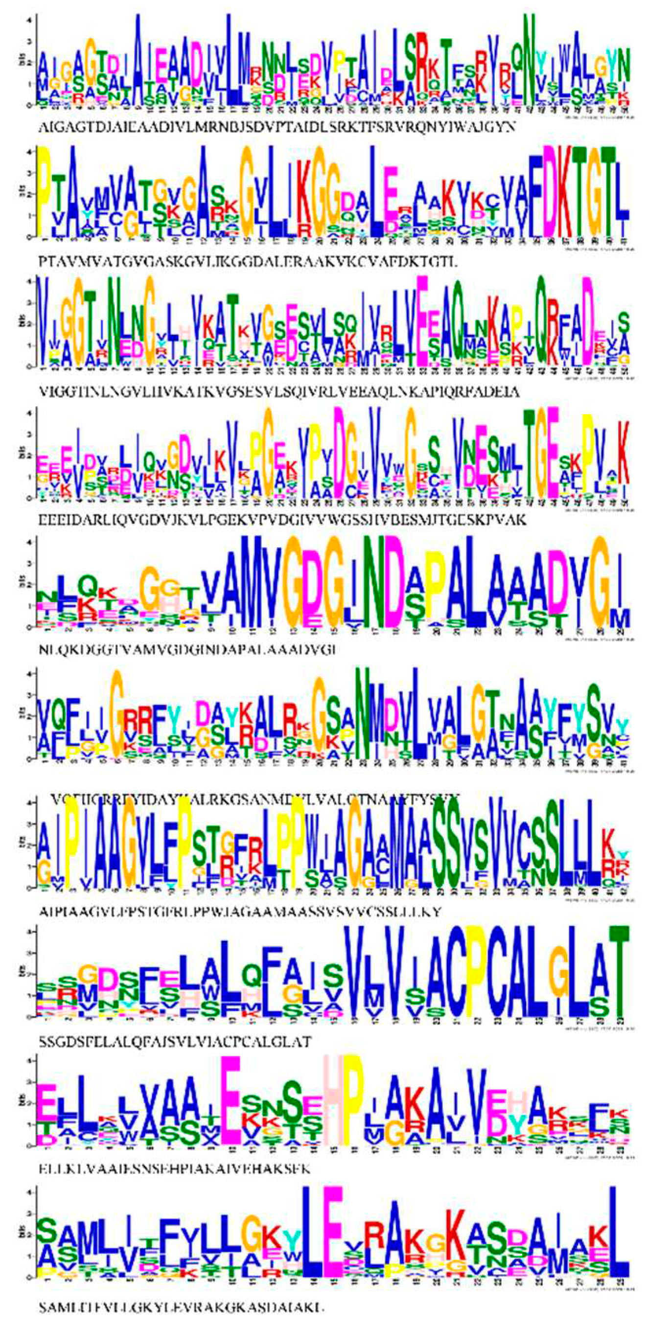 Preprints 85363 g005