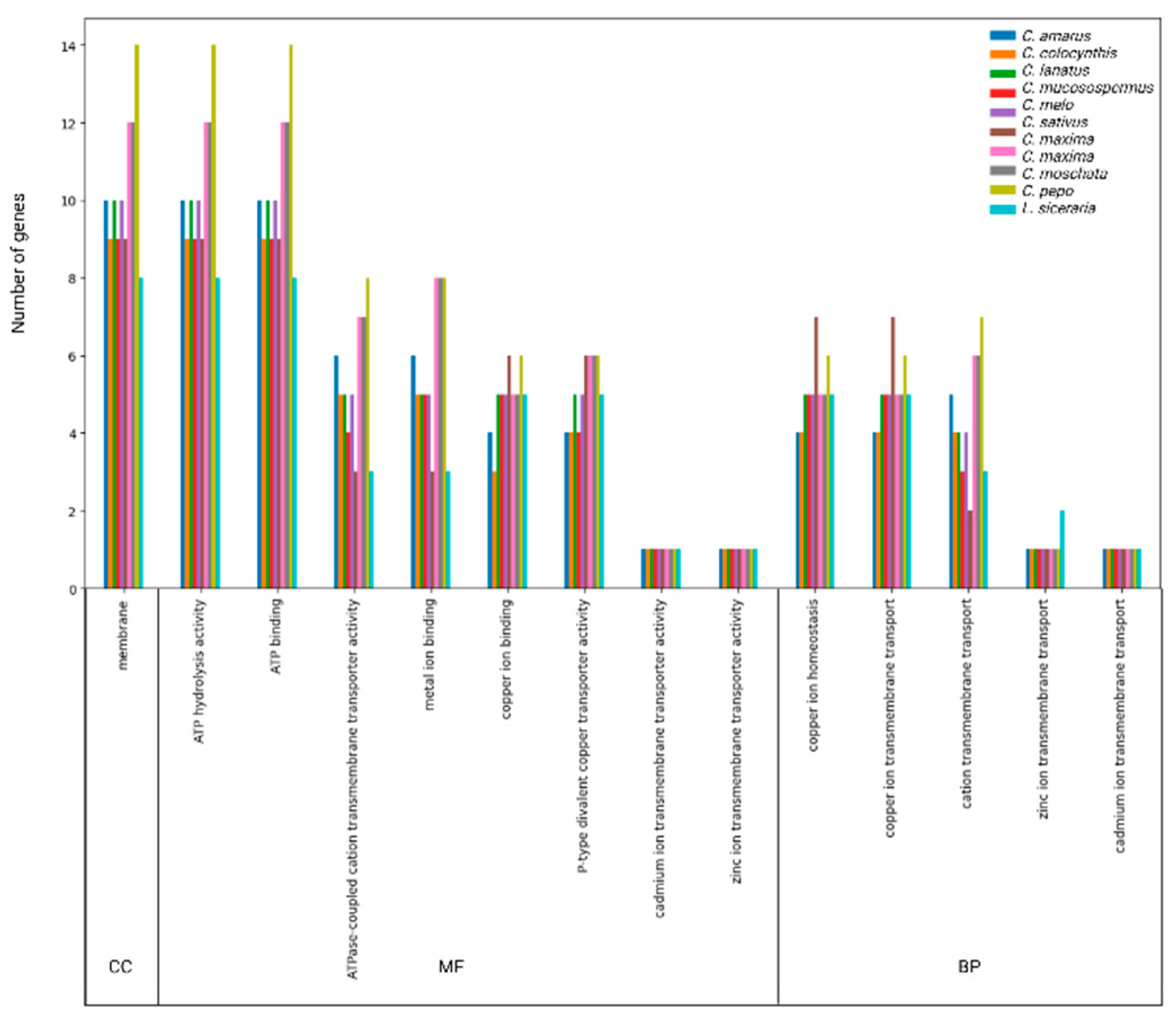 Preprints 85363 g006