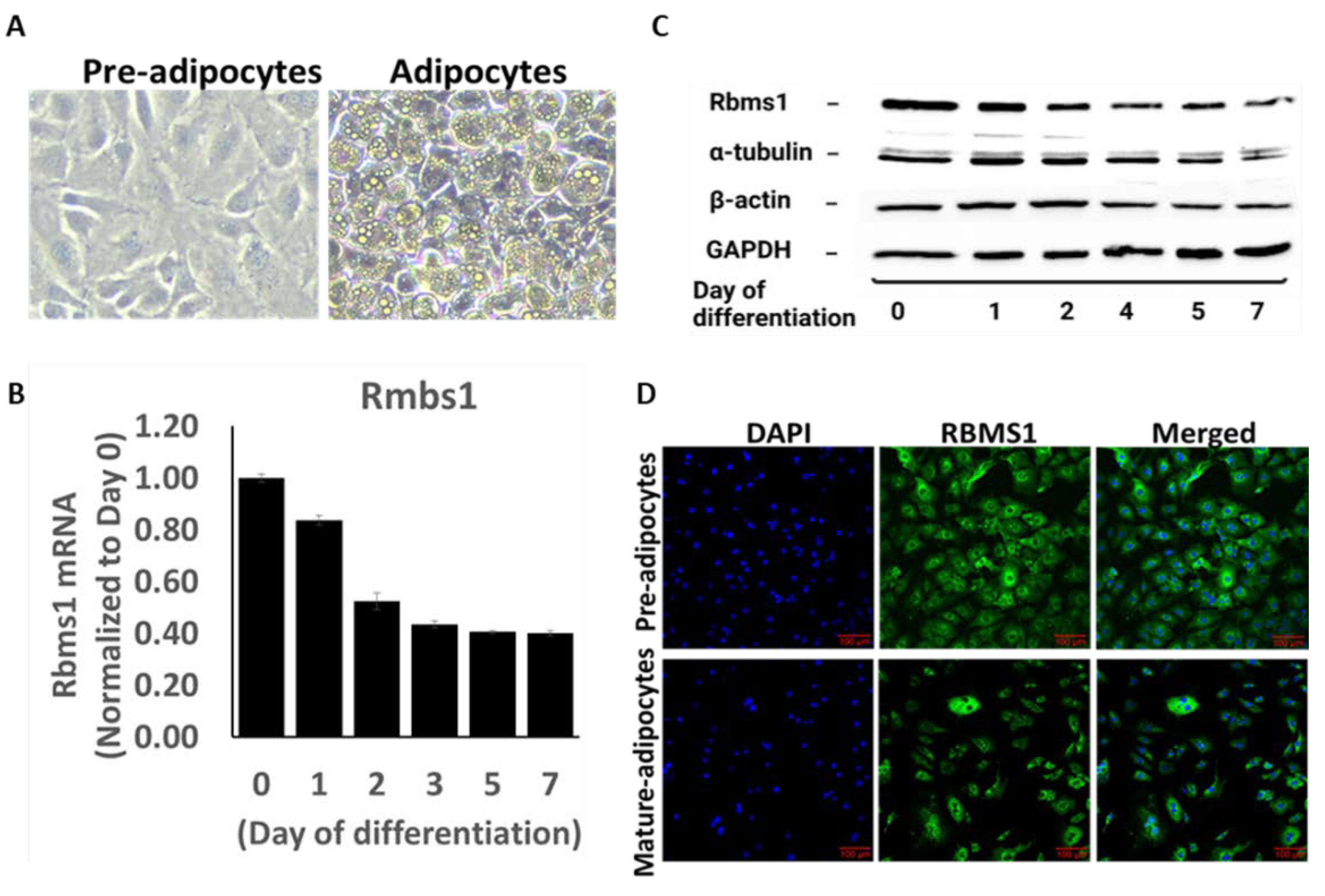 Preprints 71136 g002