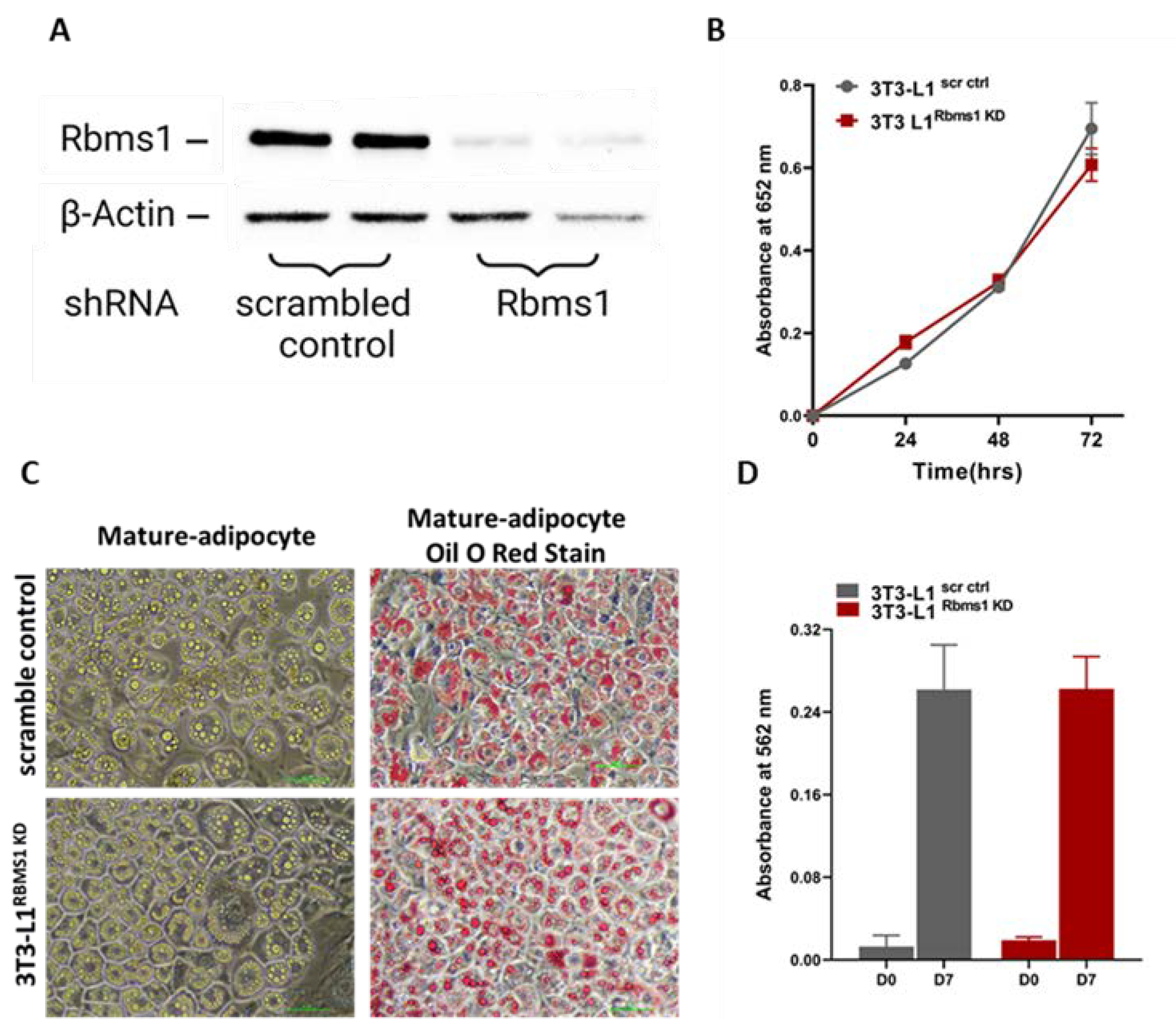 Preprints 71136 g003