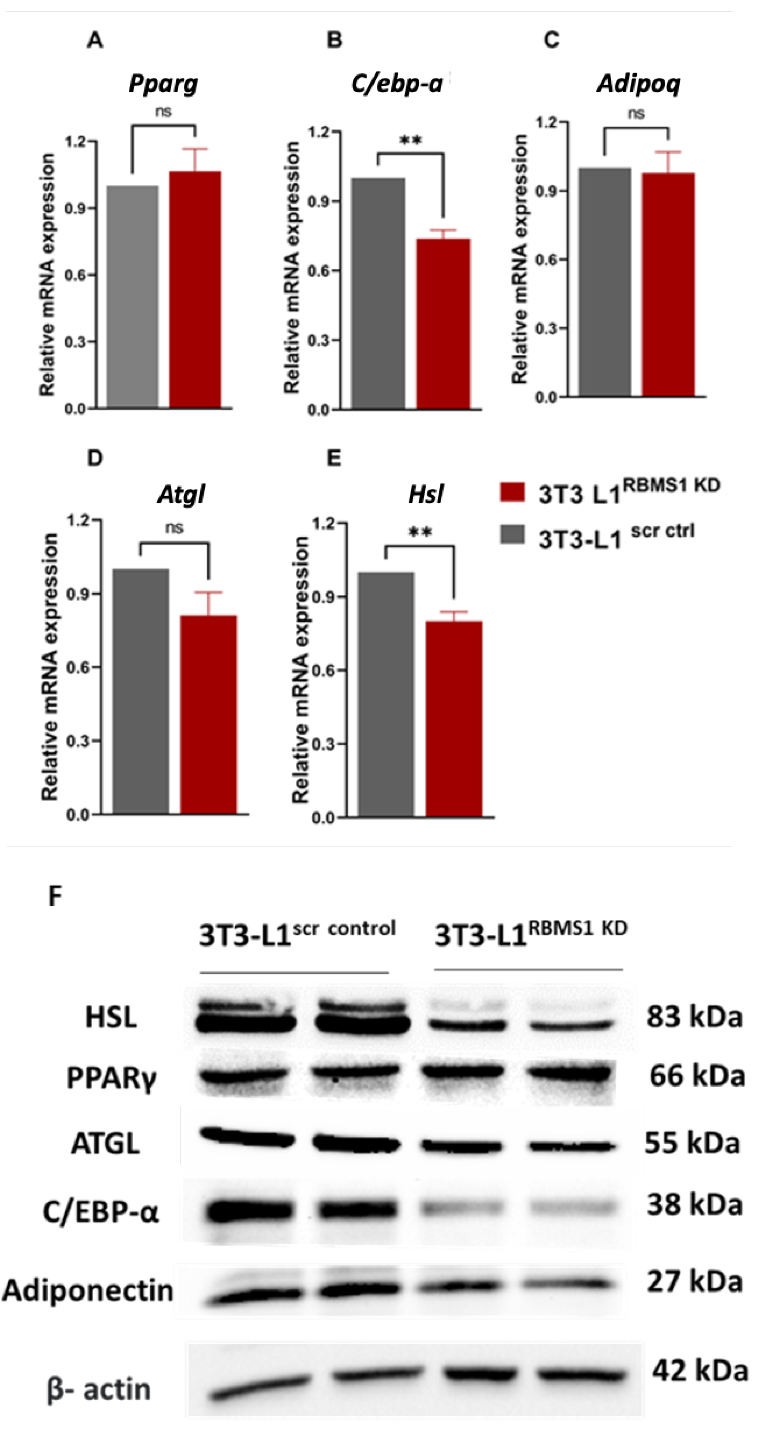 Preprints 71136 g004