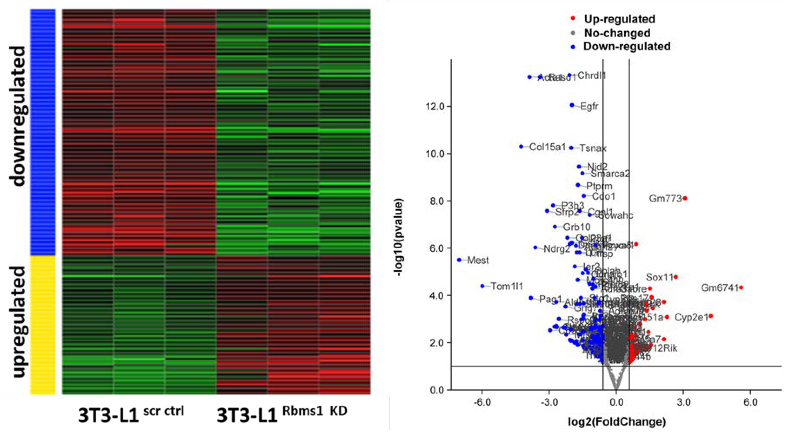 Preprints 71136 g005