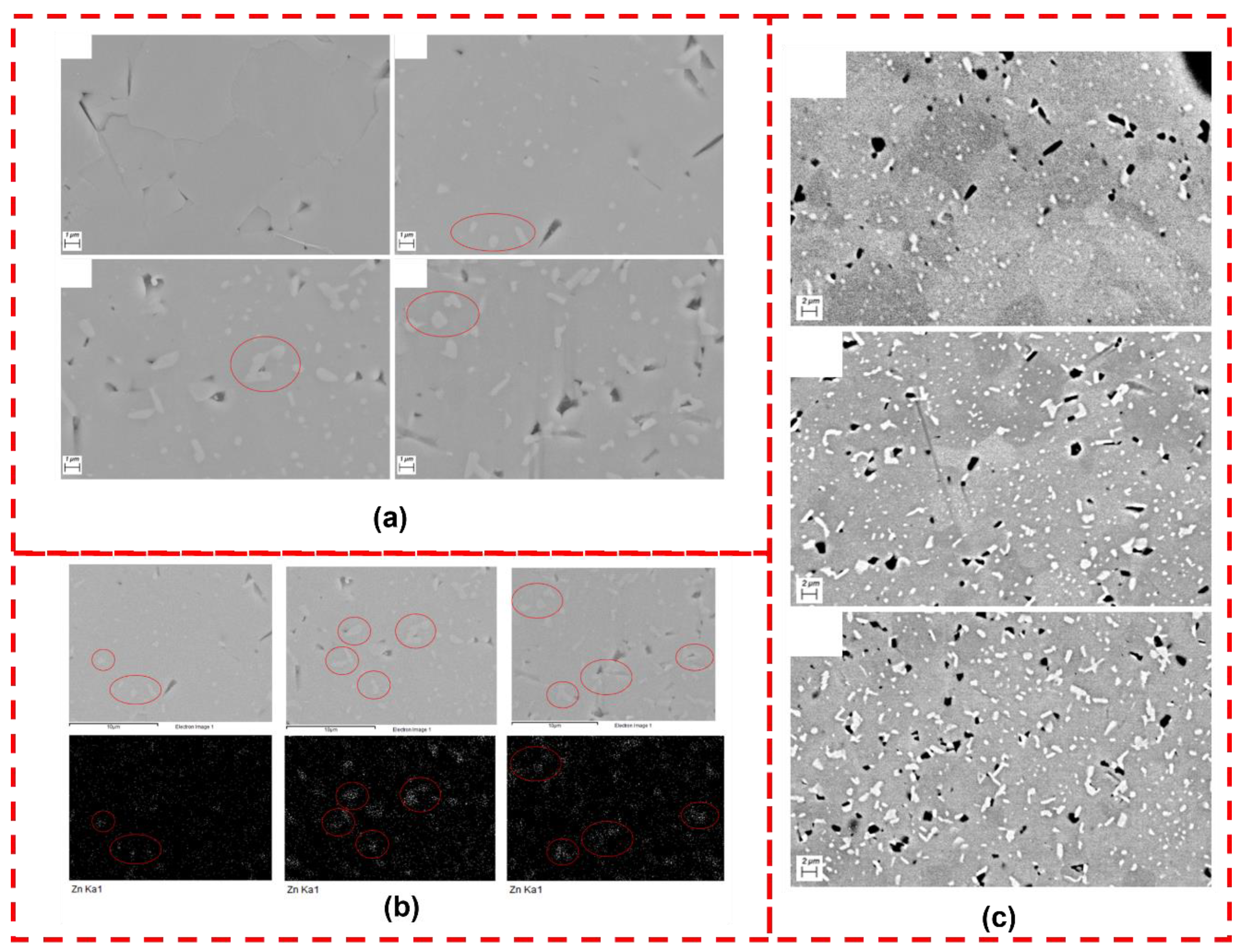 Preprints 138305 g004