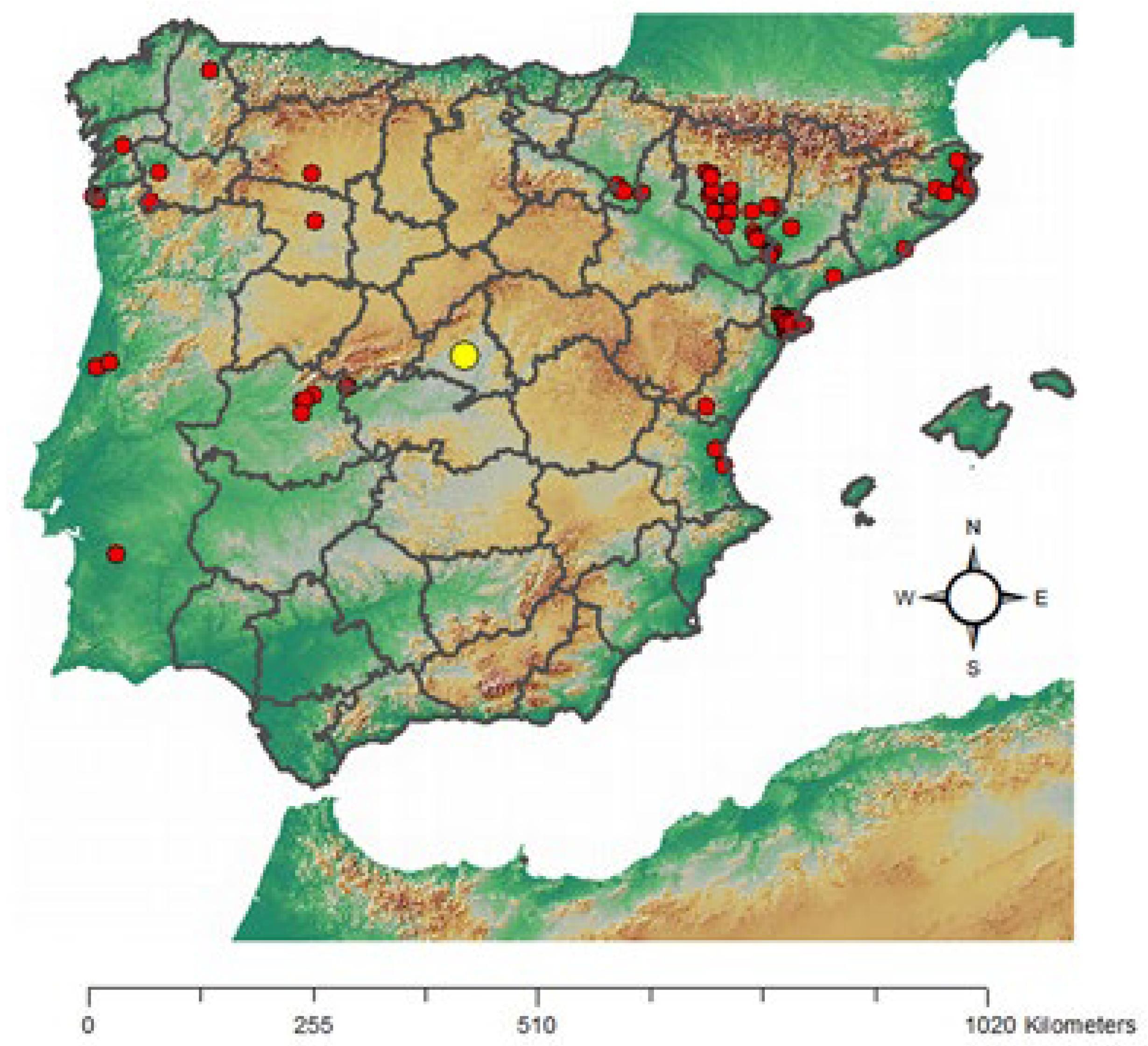 Preprints 109073 g001