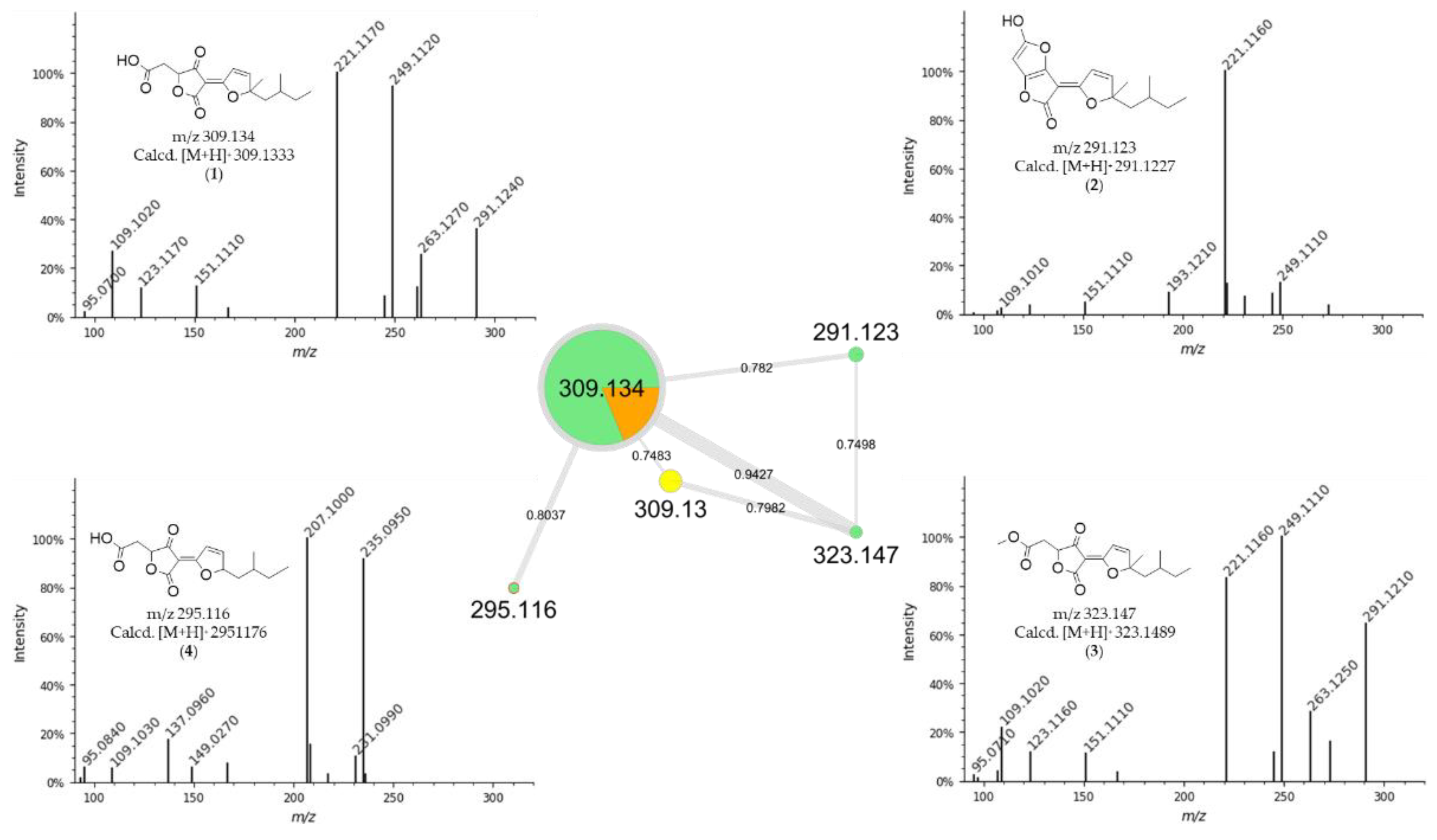 Preprints 117961 g001