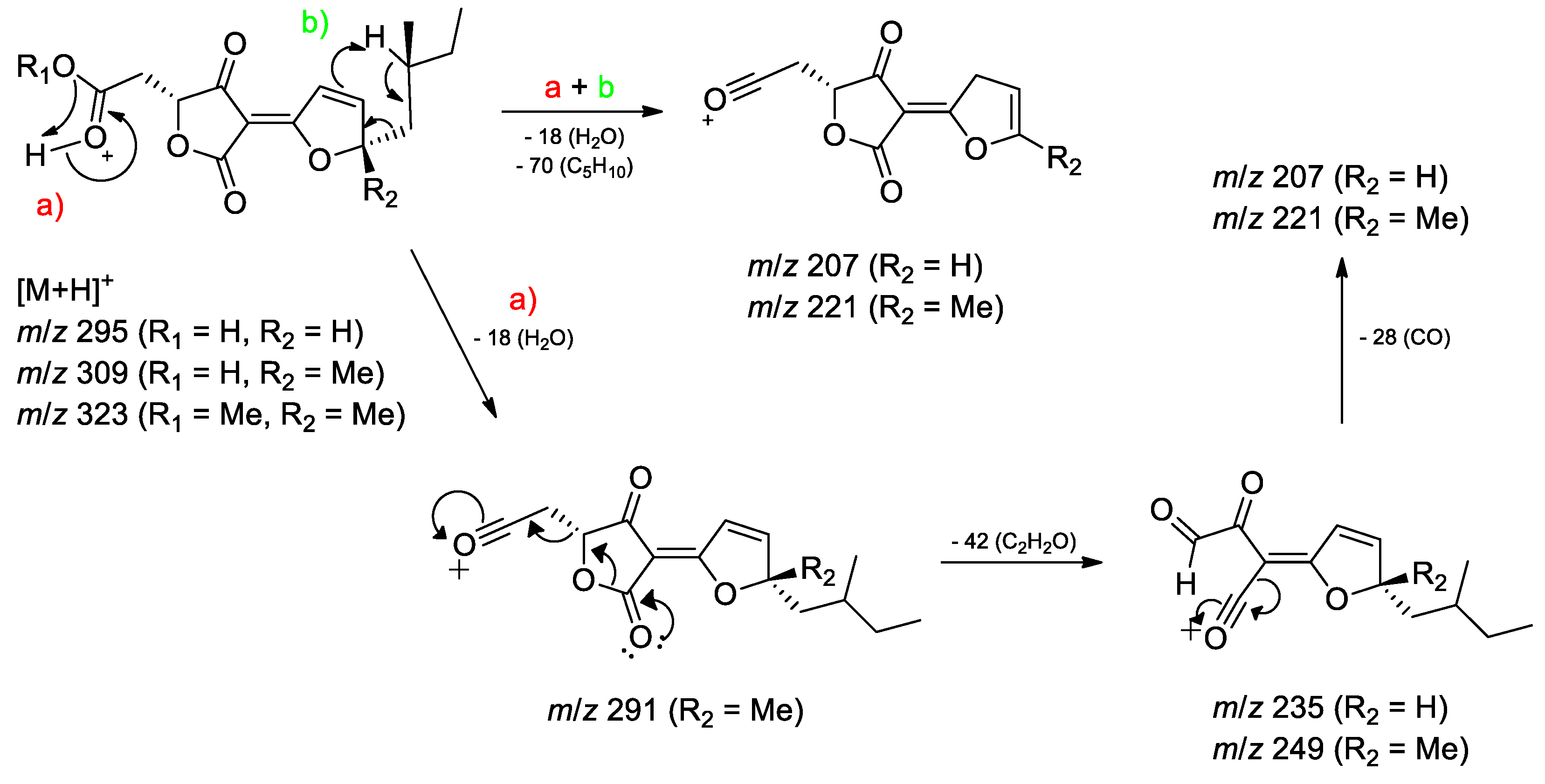 Preprints 117961 g002