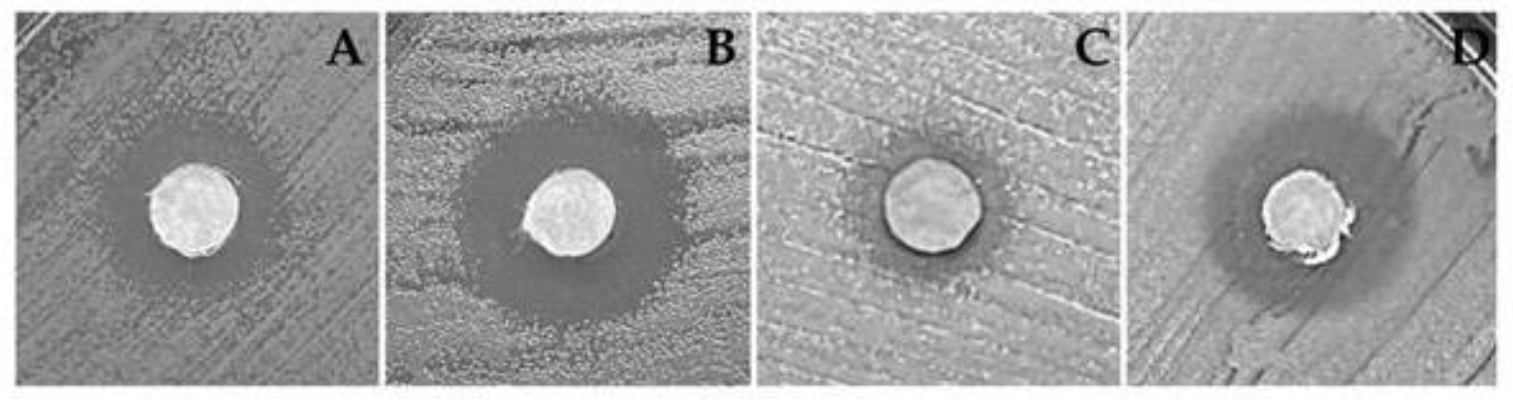 Preprints 117961 g005