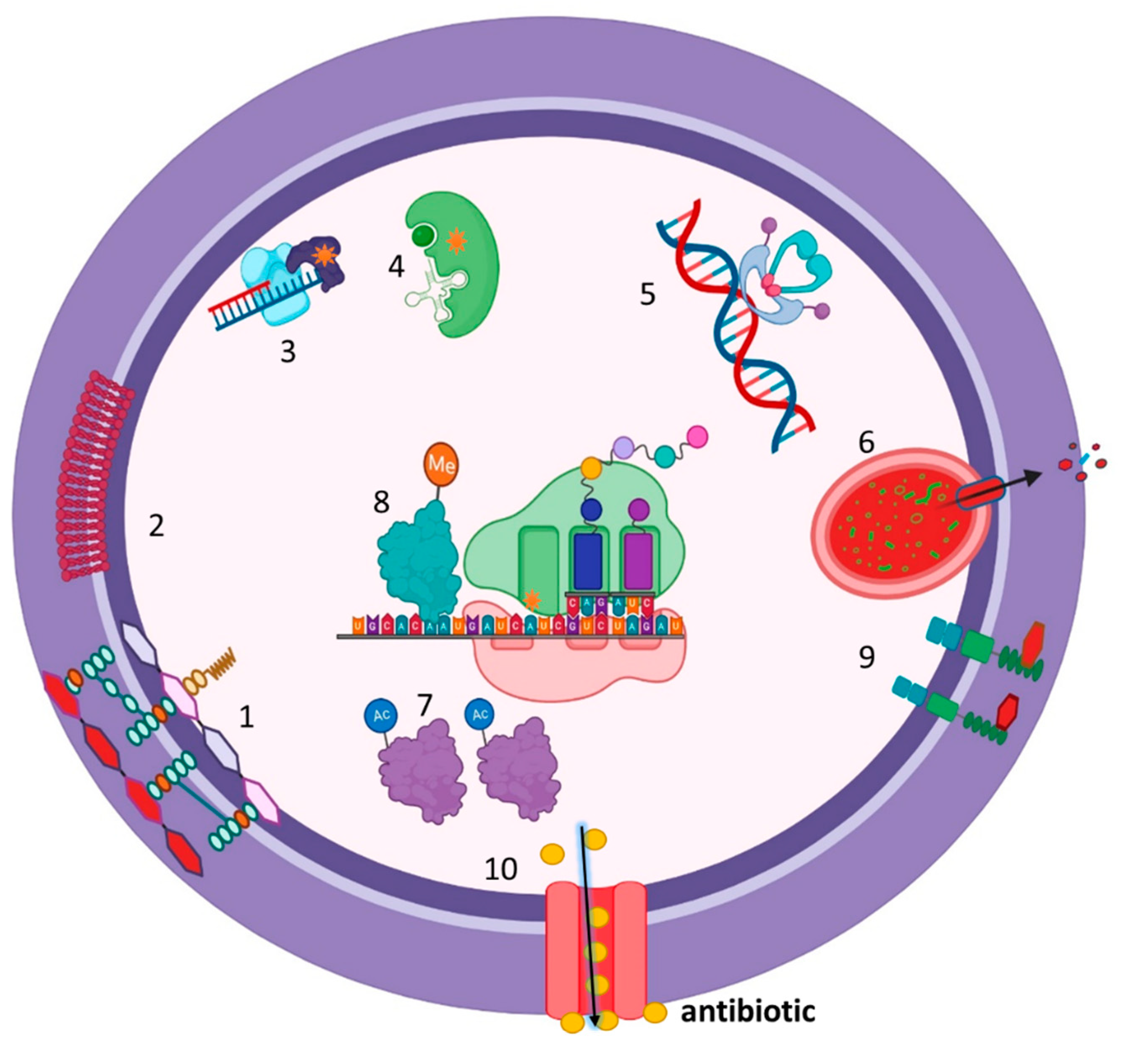 Preprints 70725 g001