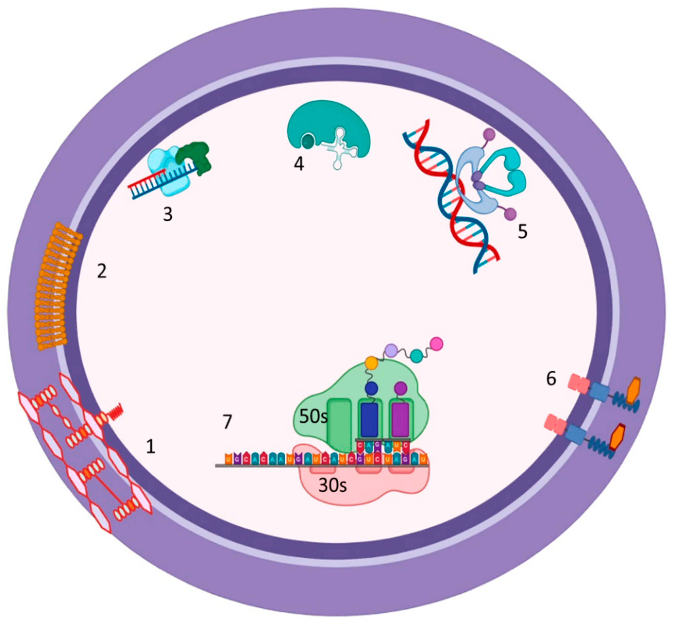 Preprints 70725 g002