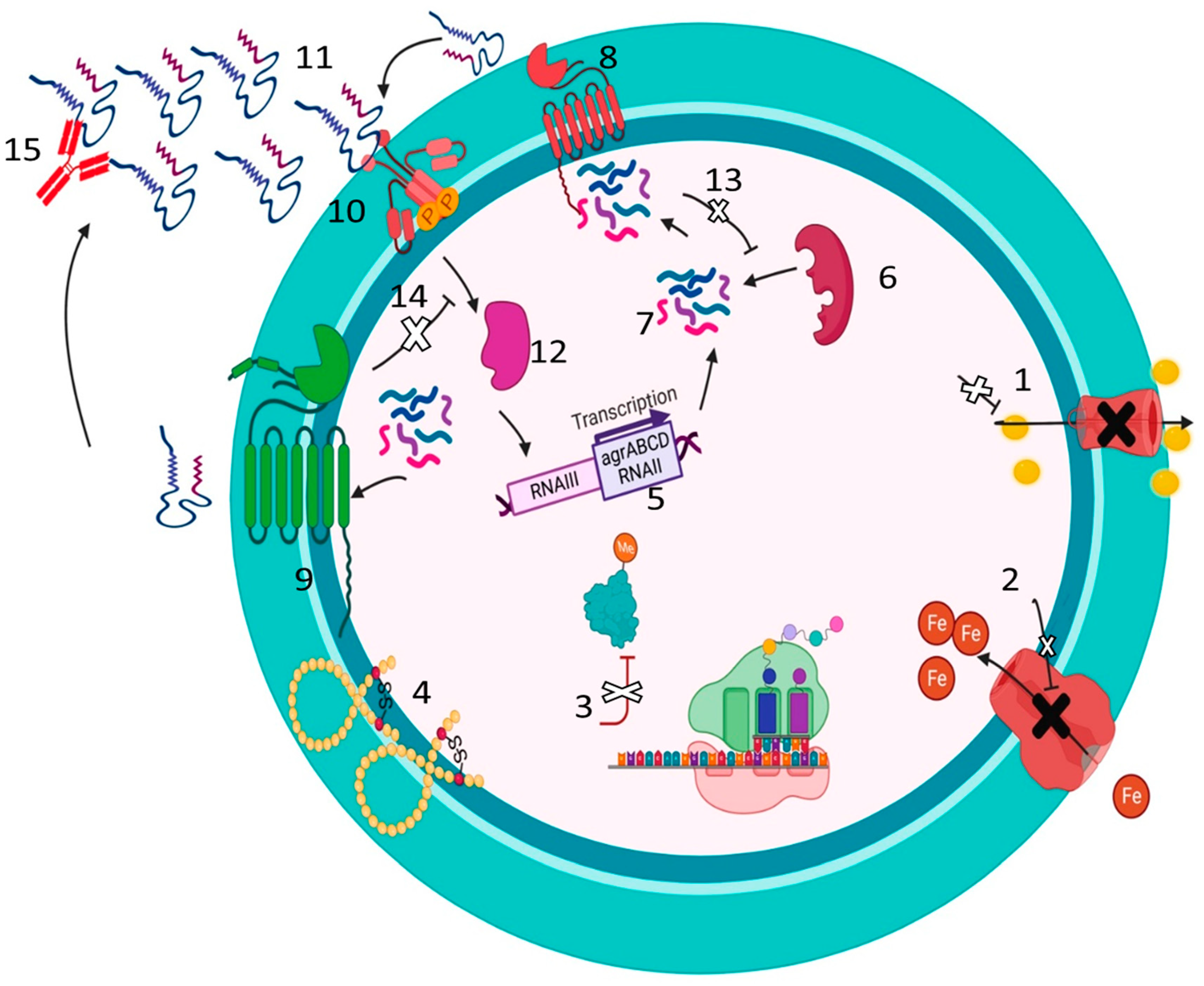 Preprints 70725 g003