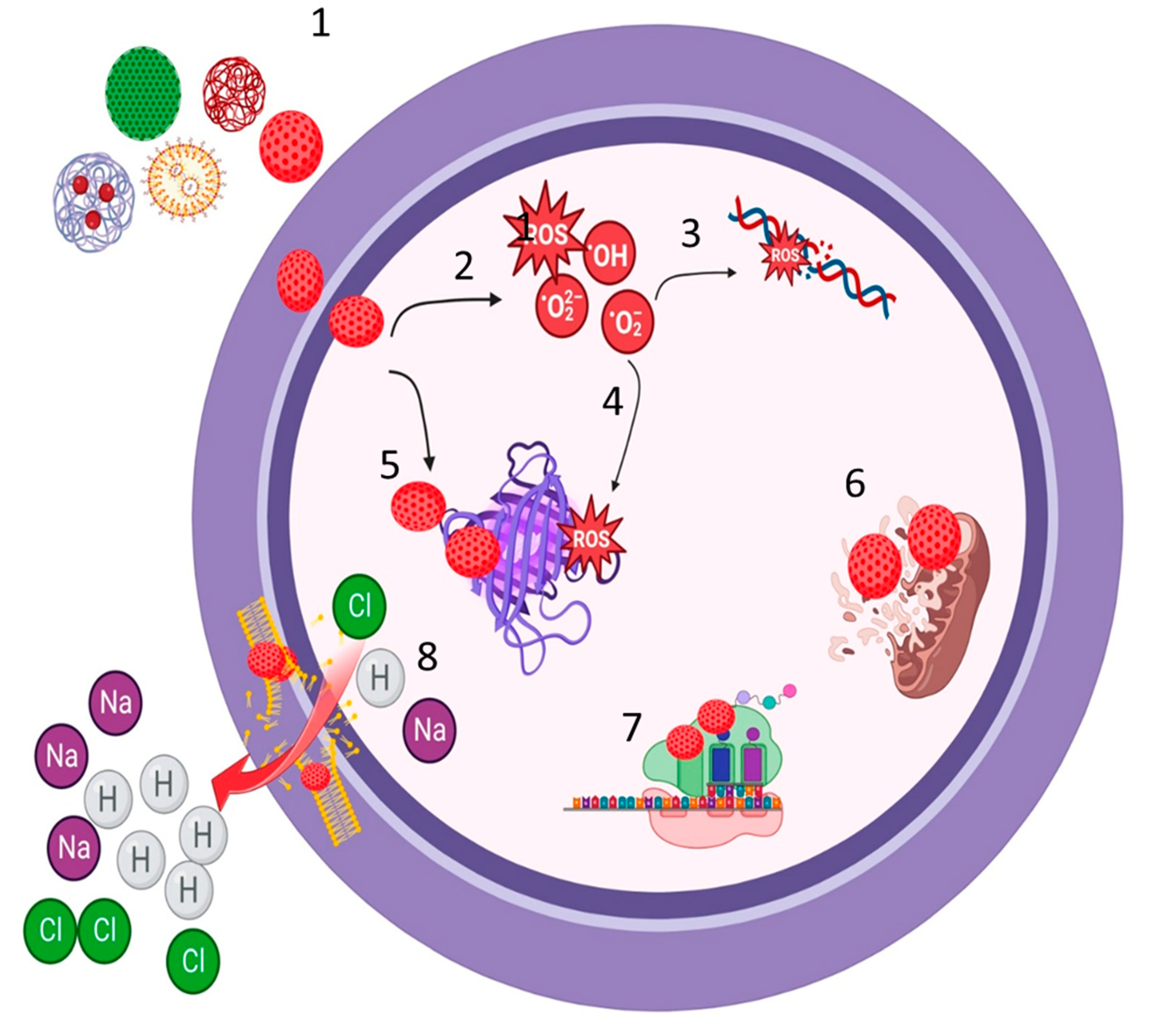 Preprints 70725 g004