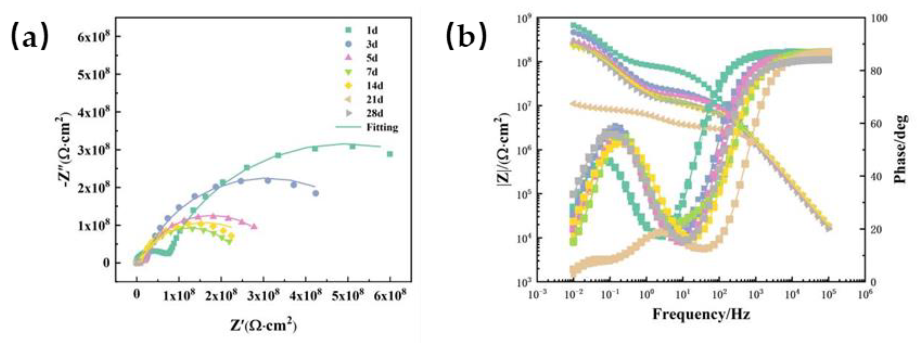 Preprints 109966 g006