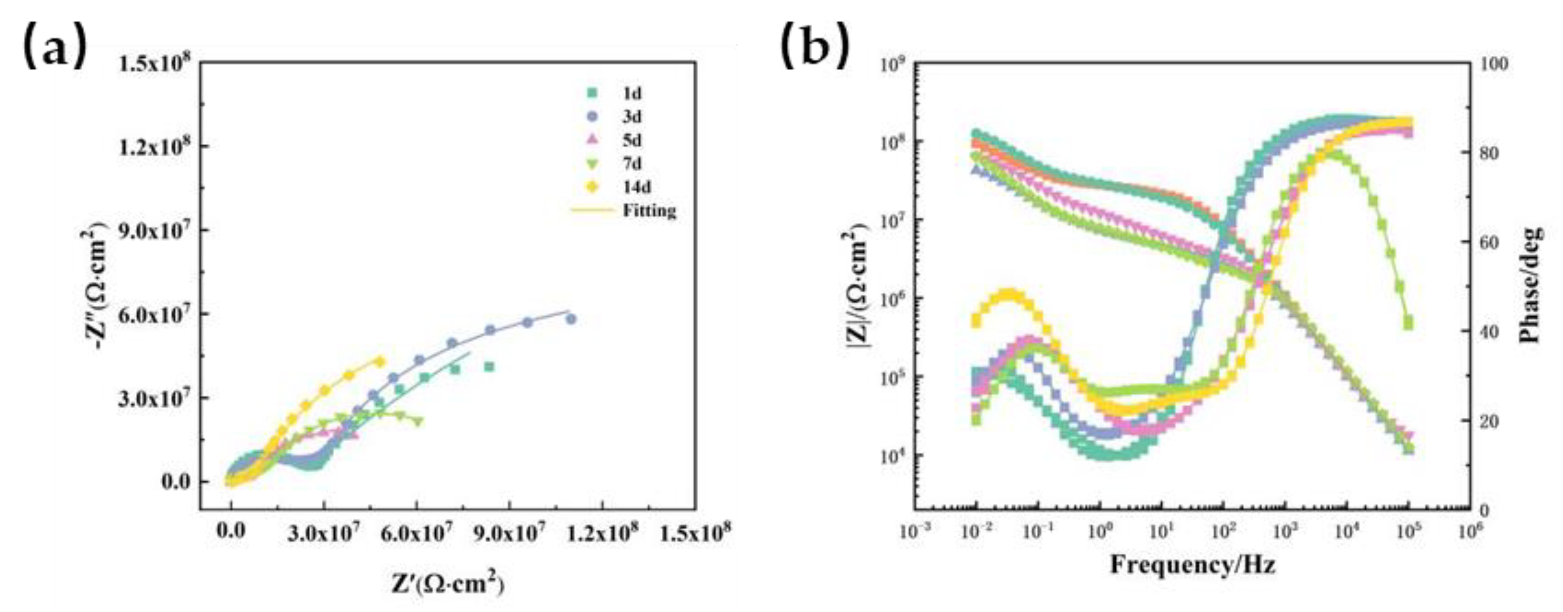 Preprints 109966 g007