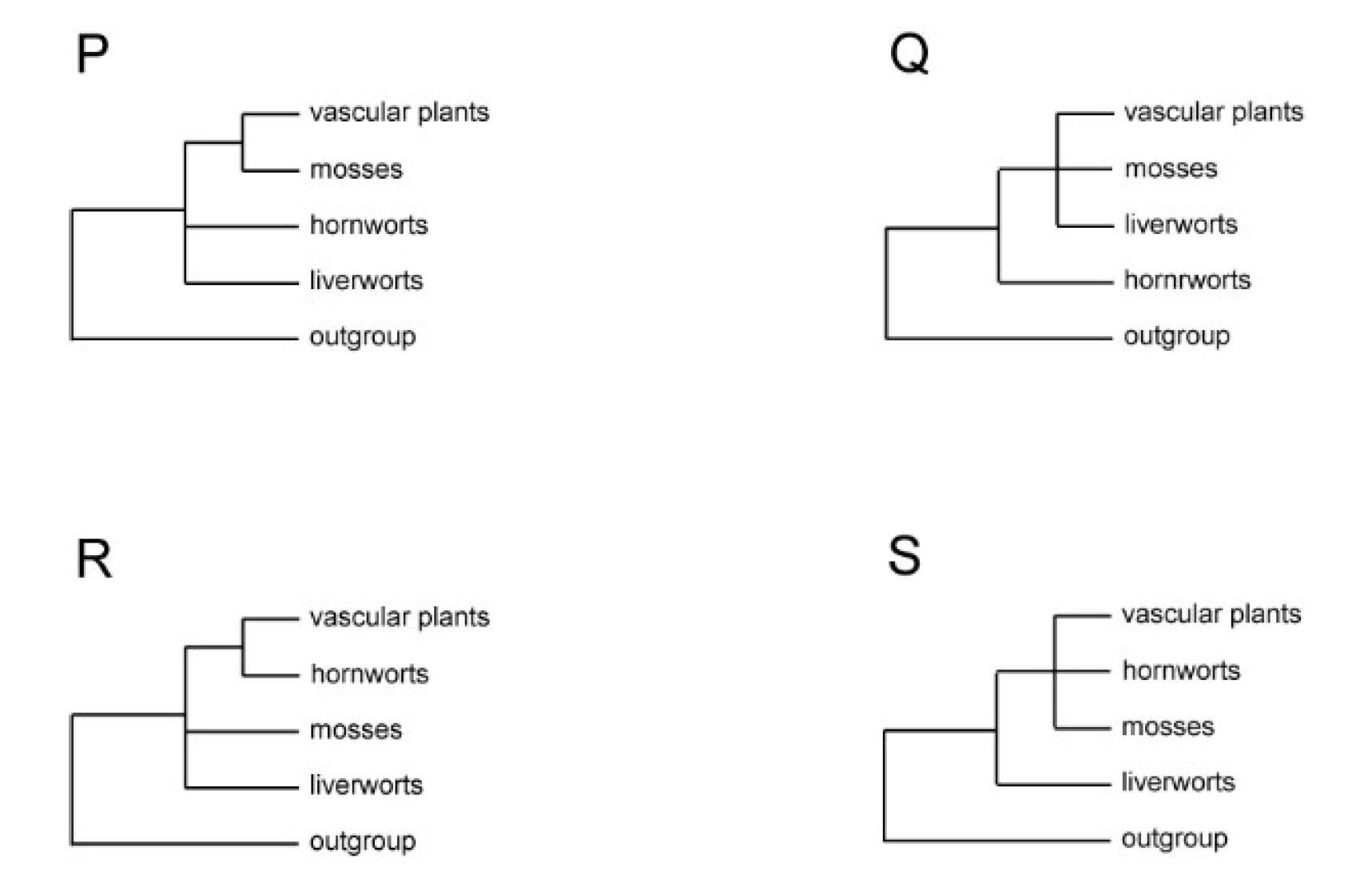 Preprints 110889 g001