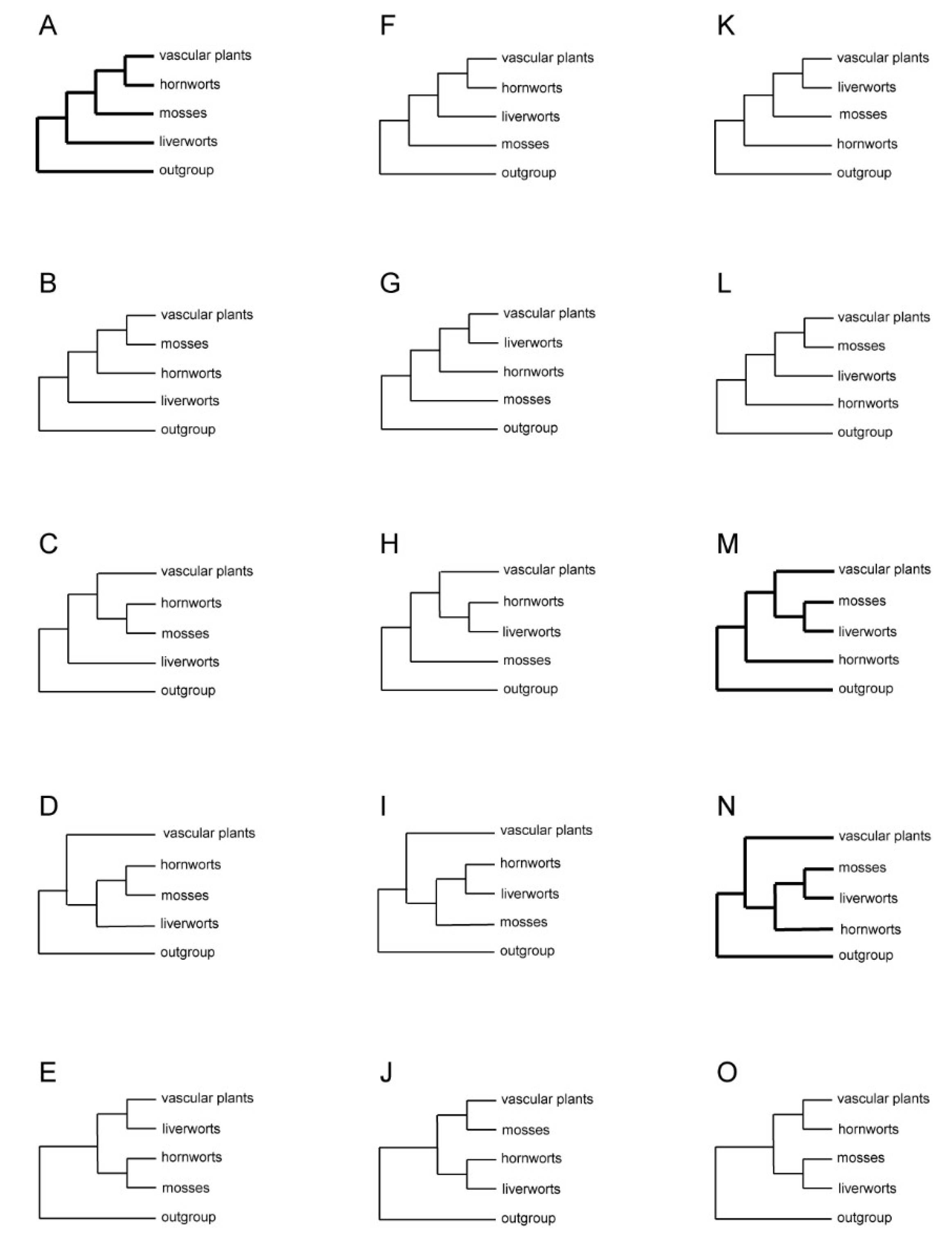 Preprints 110889 g002