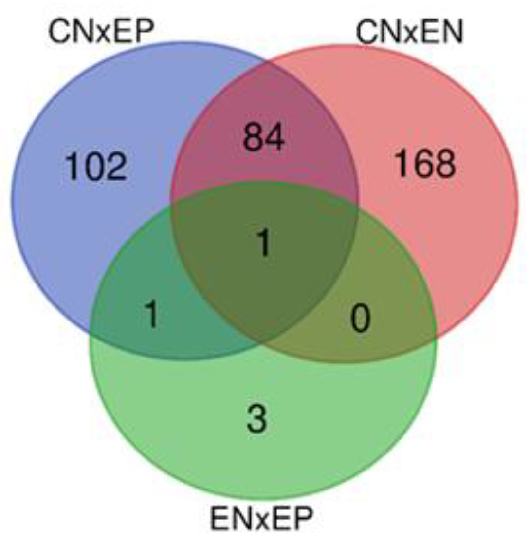 Preprints 75042 g001