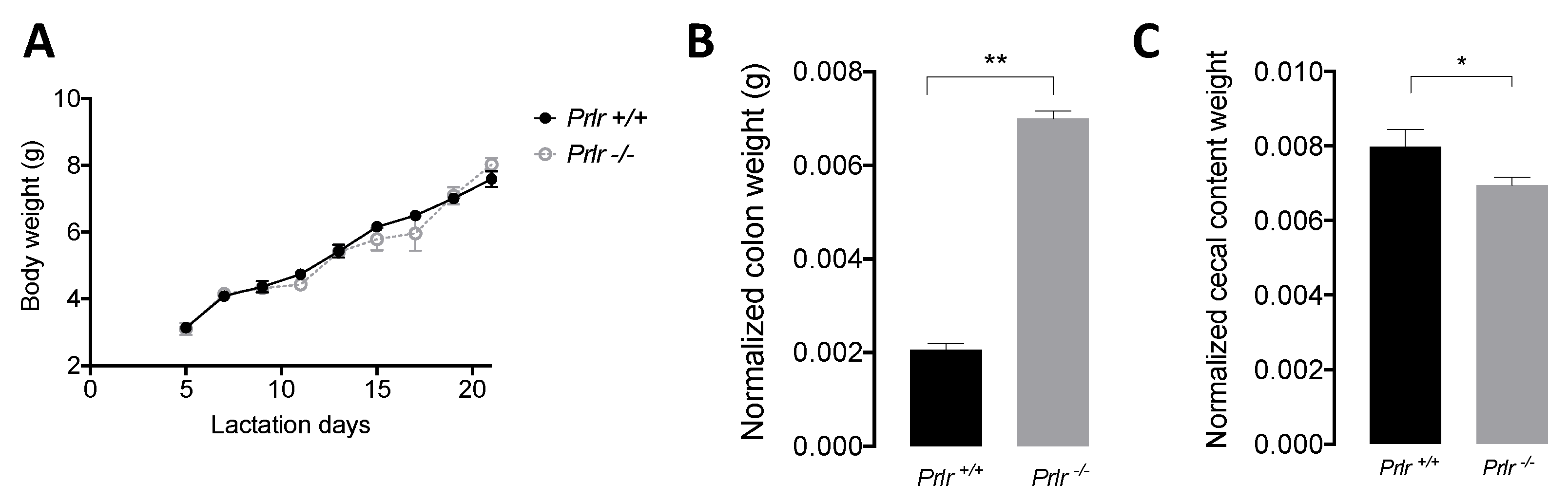 Preprints 81163 g001