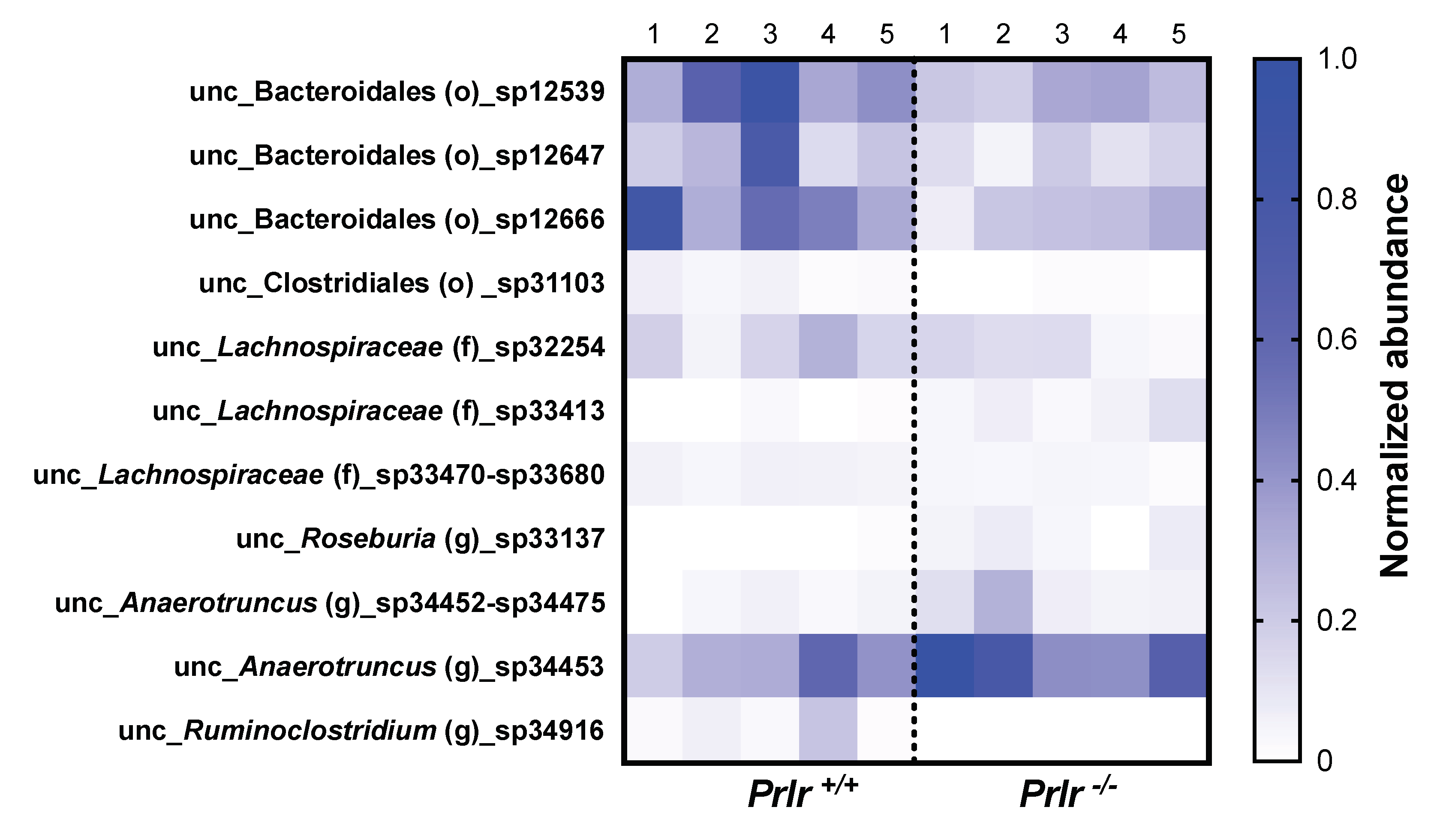 Preprints 81163 g005