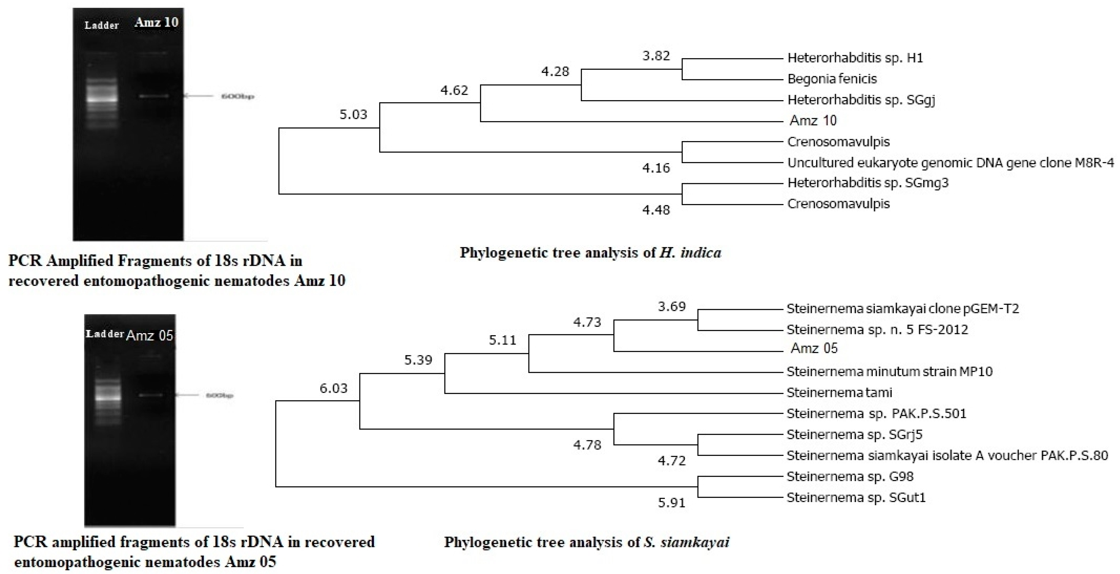 Preprints 105314 g002