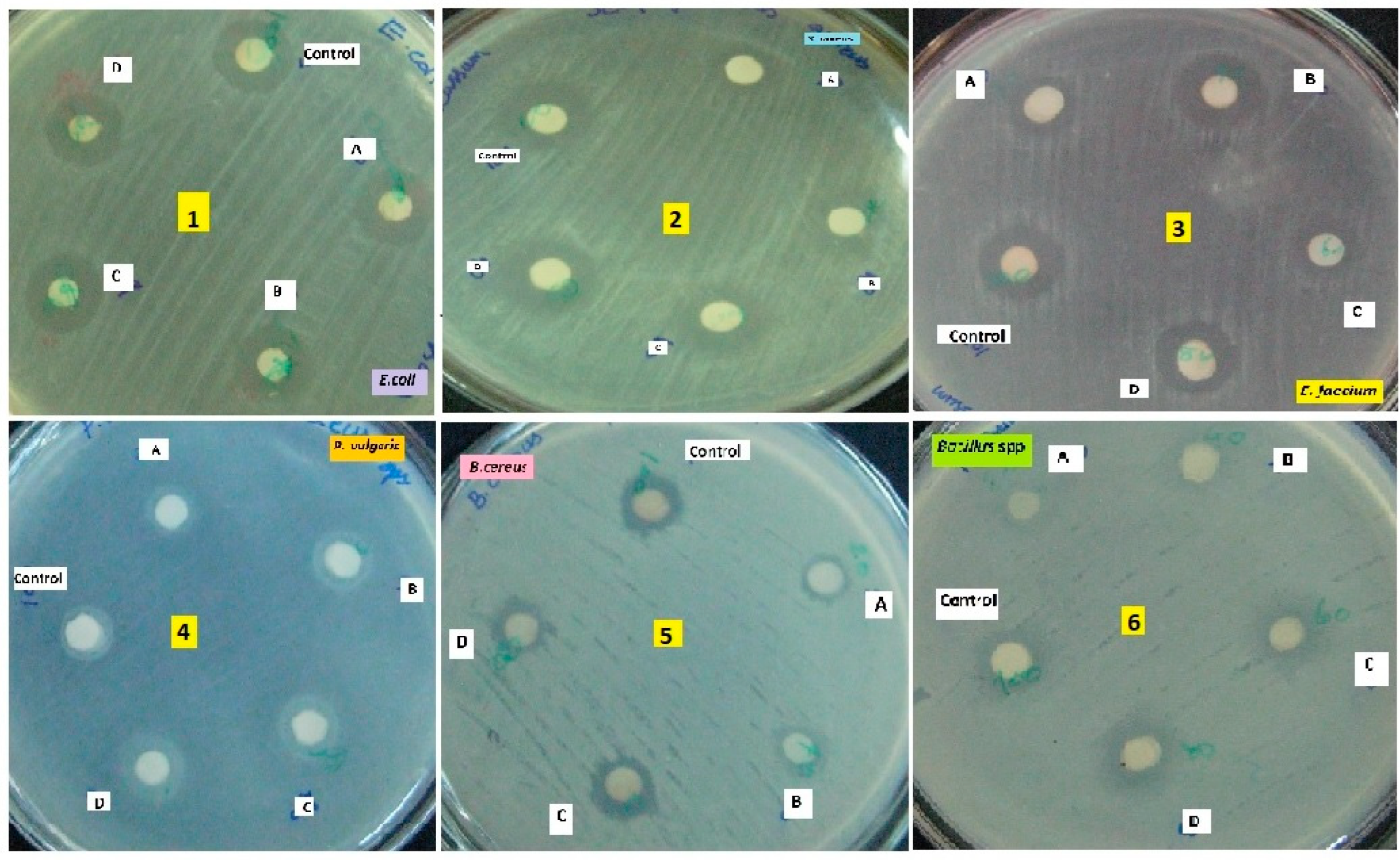 Preprints 105314 g007