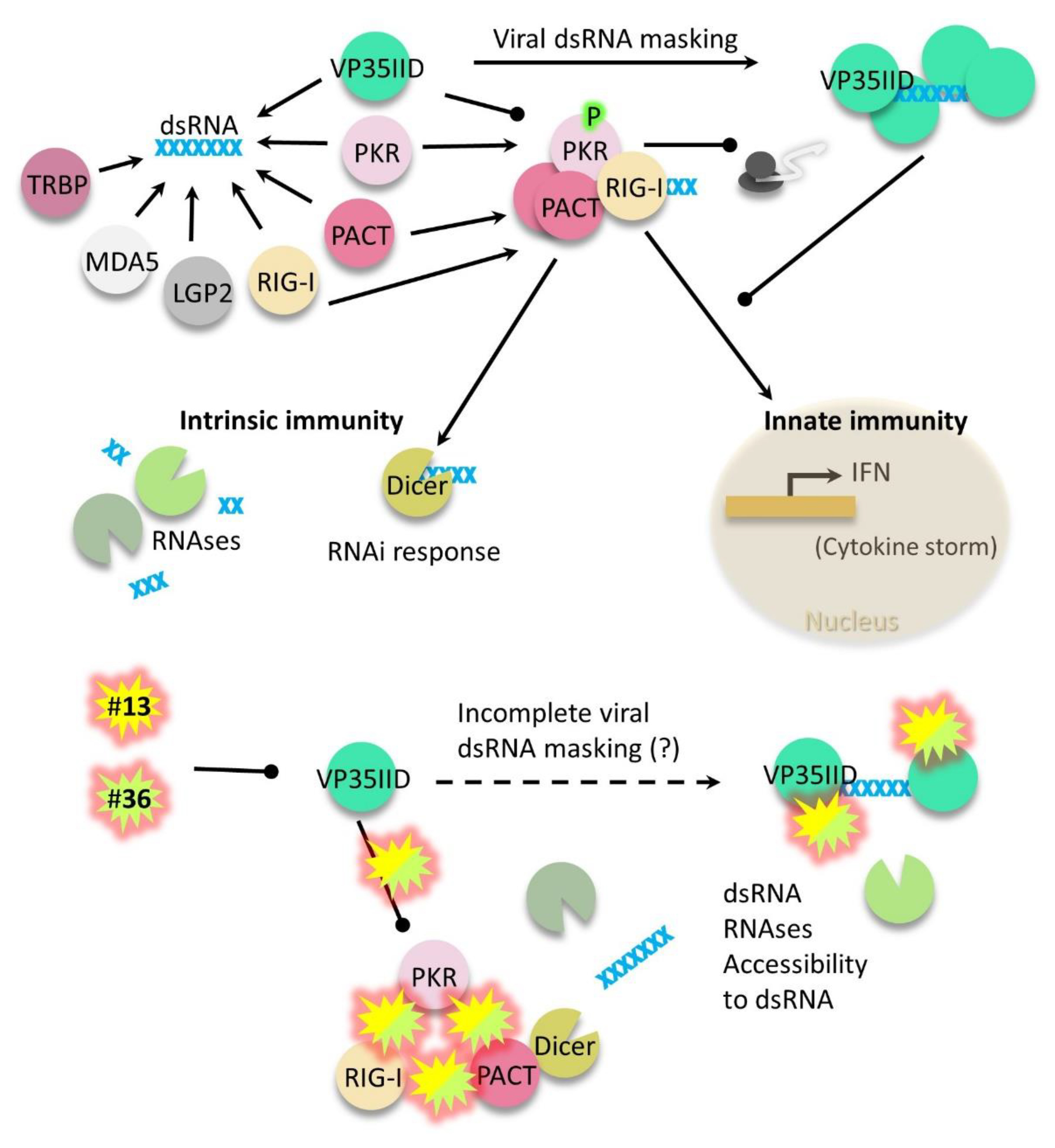 Preprints 83716 g006