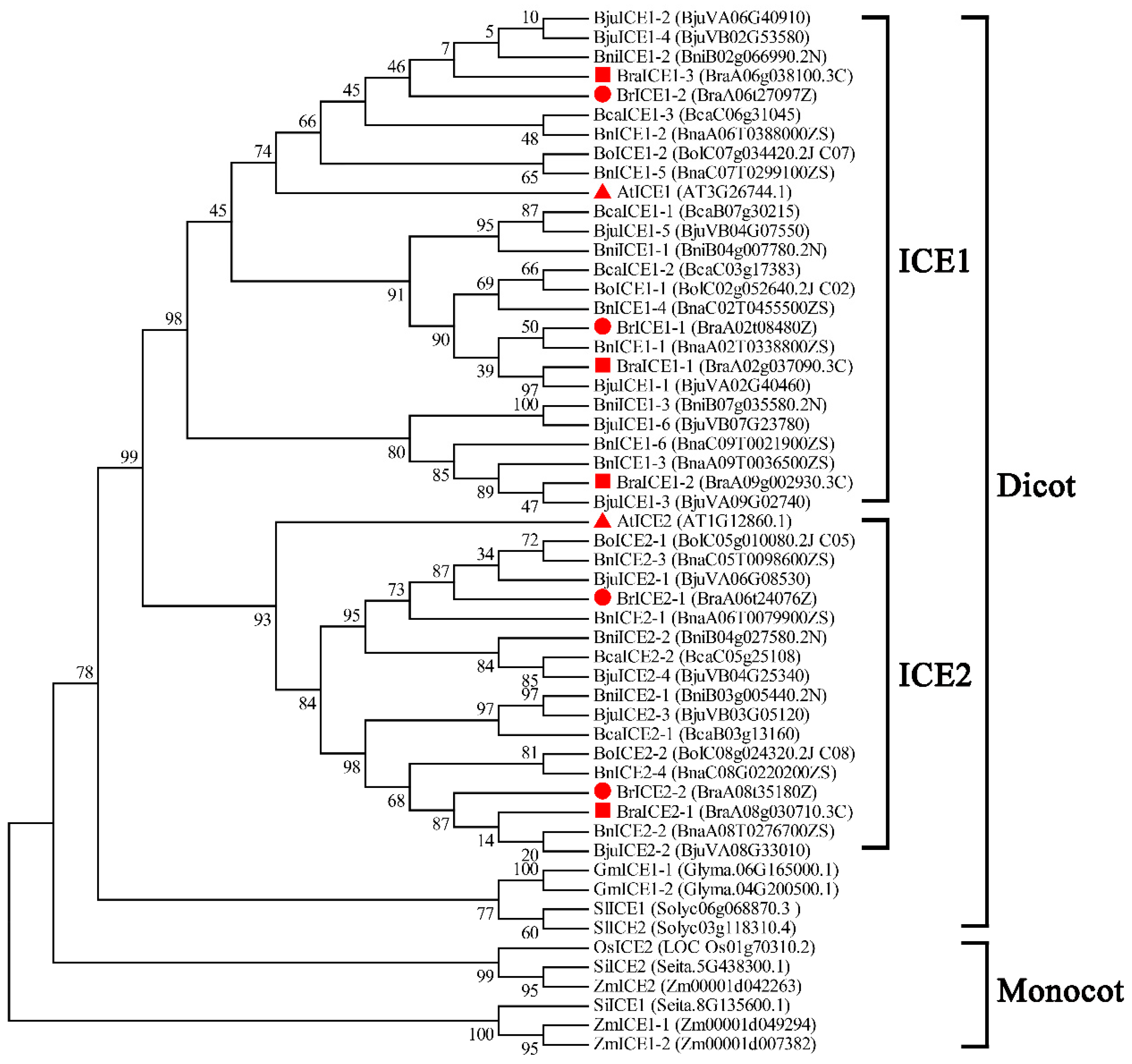 Preprints 117620 g001