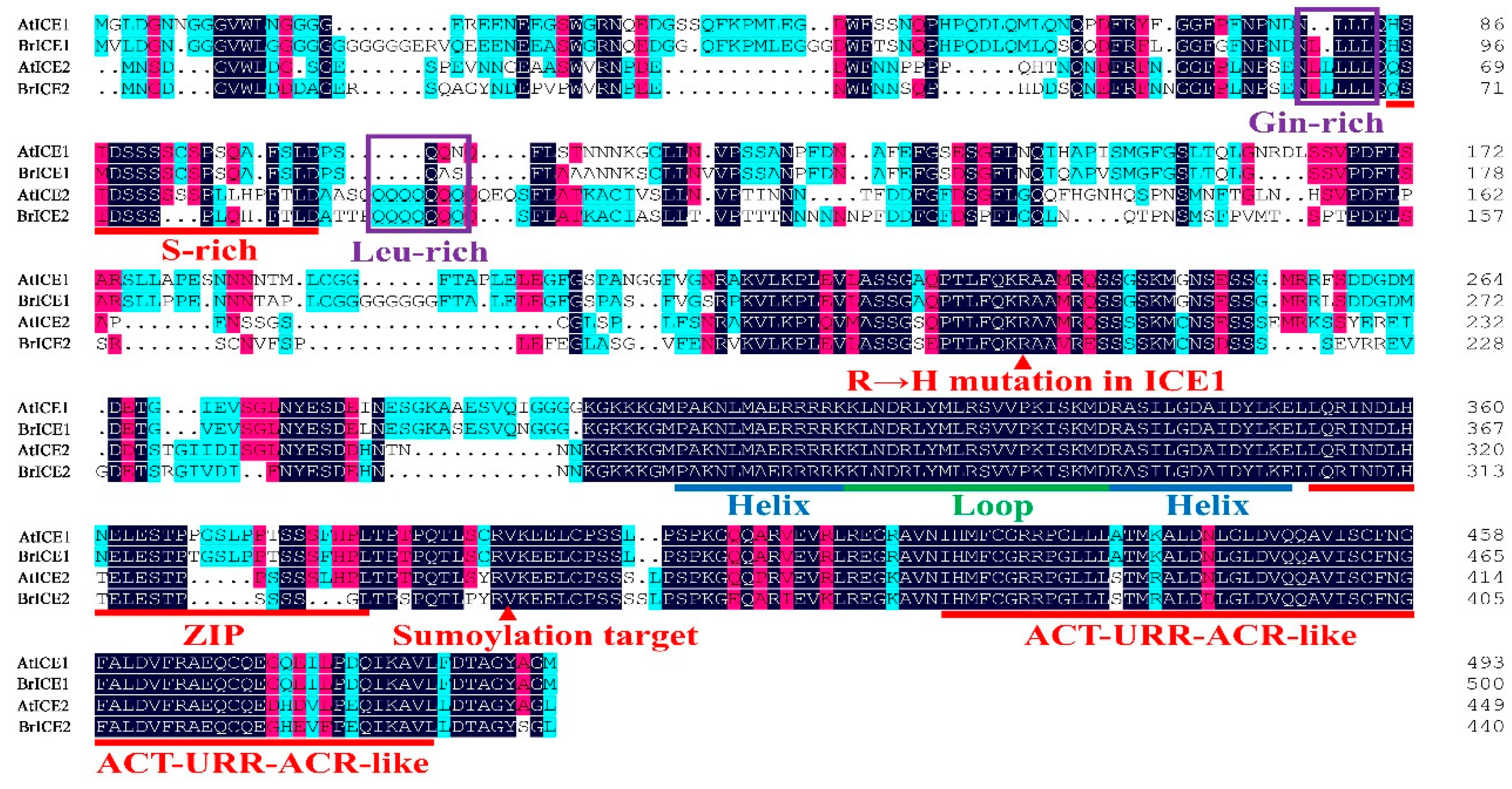 Preprints 117620 g003