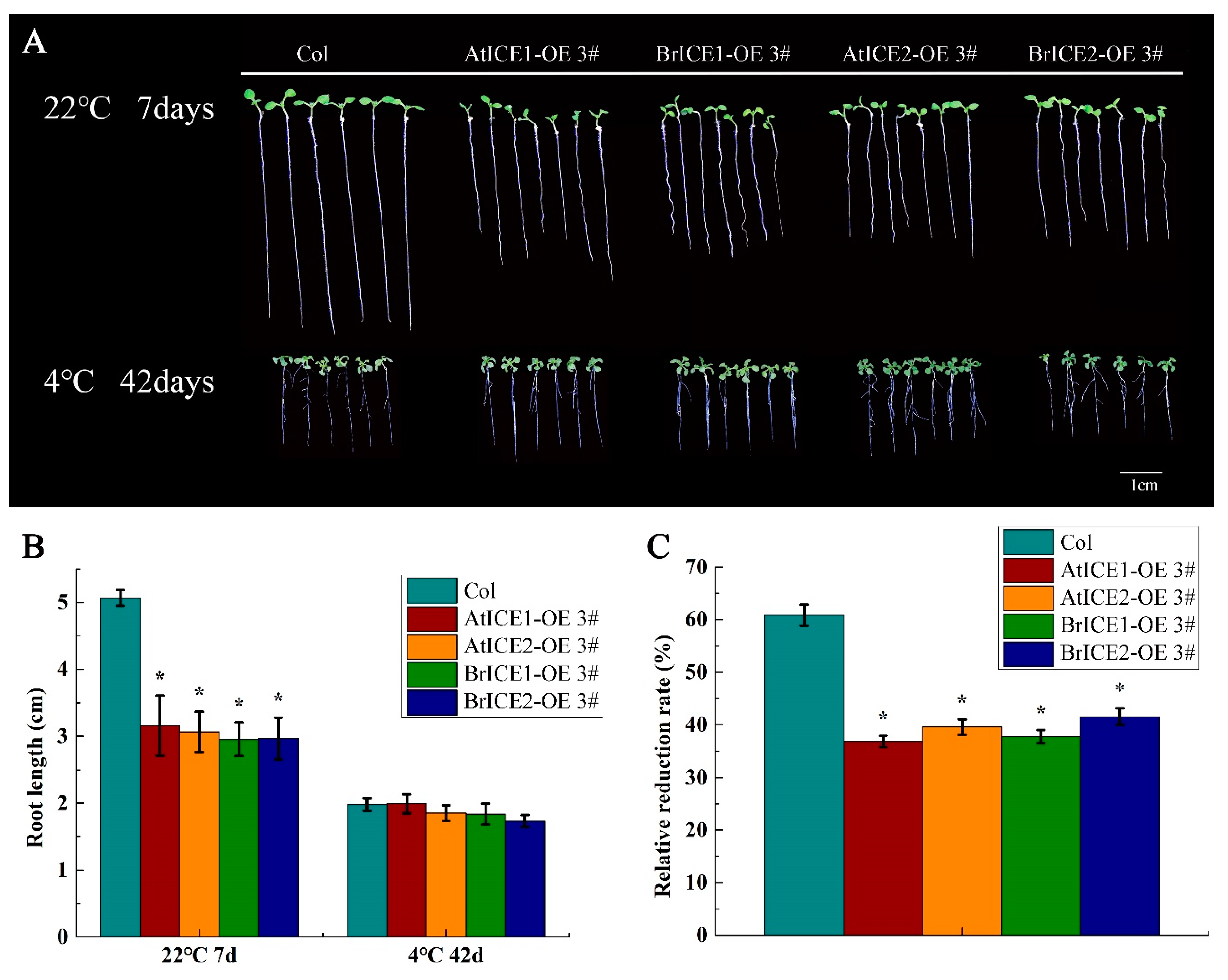 Preprints 117620 g007