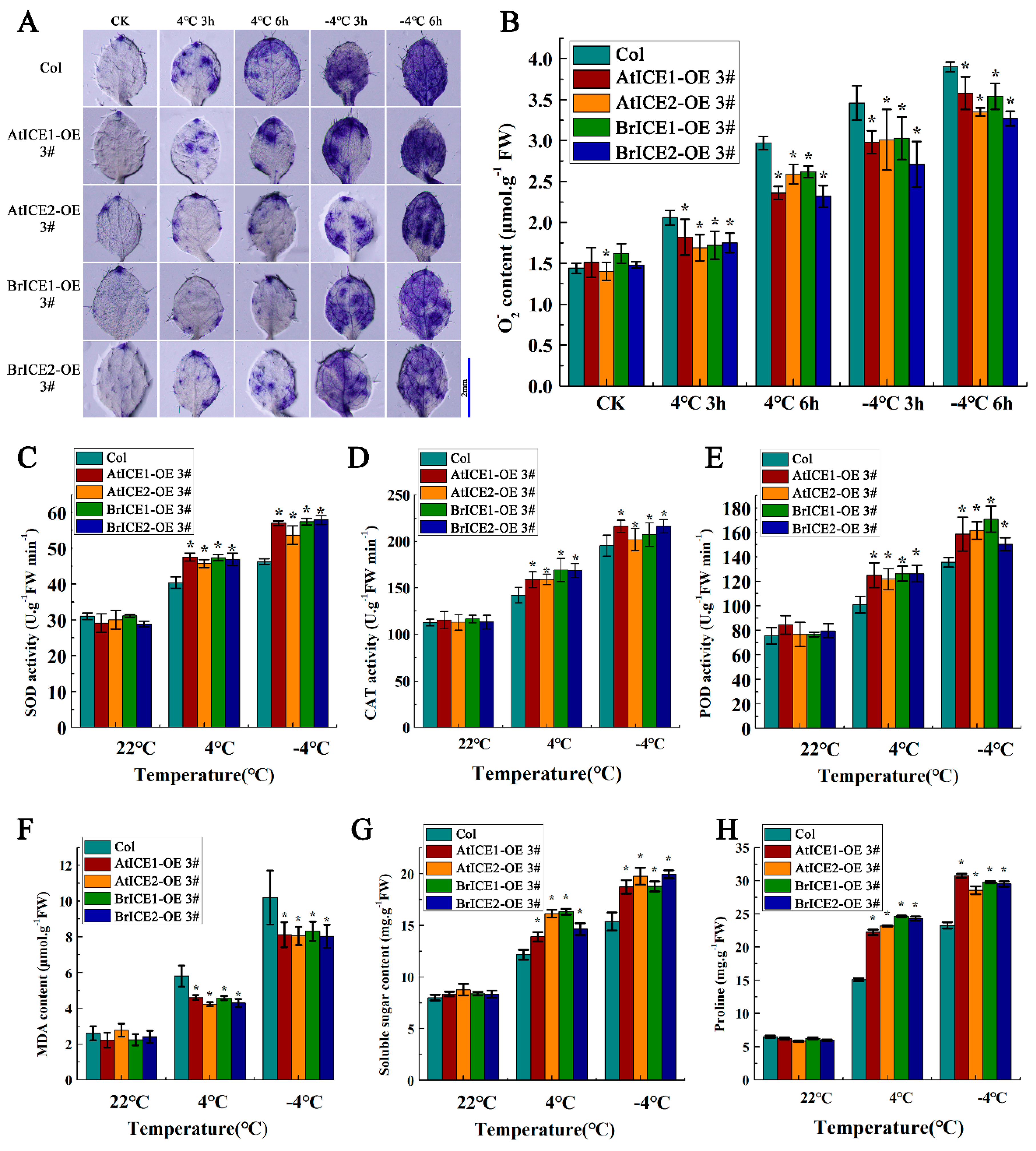 Preprints 117620 g008