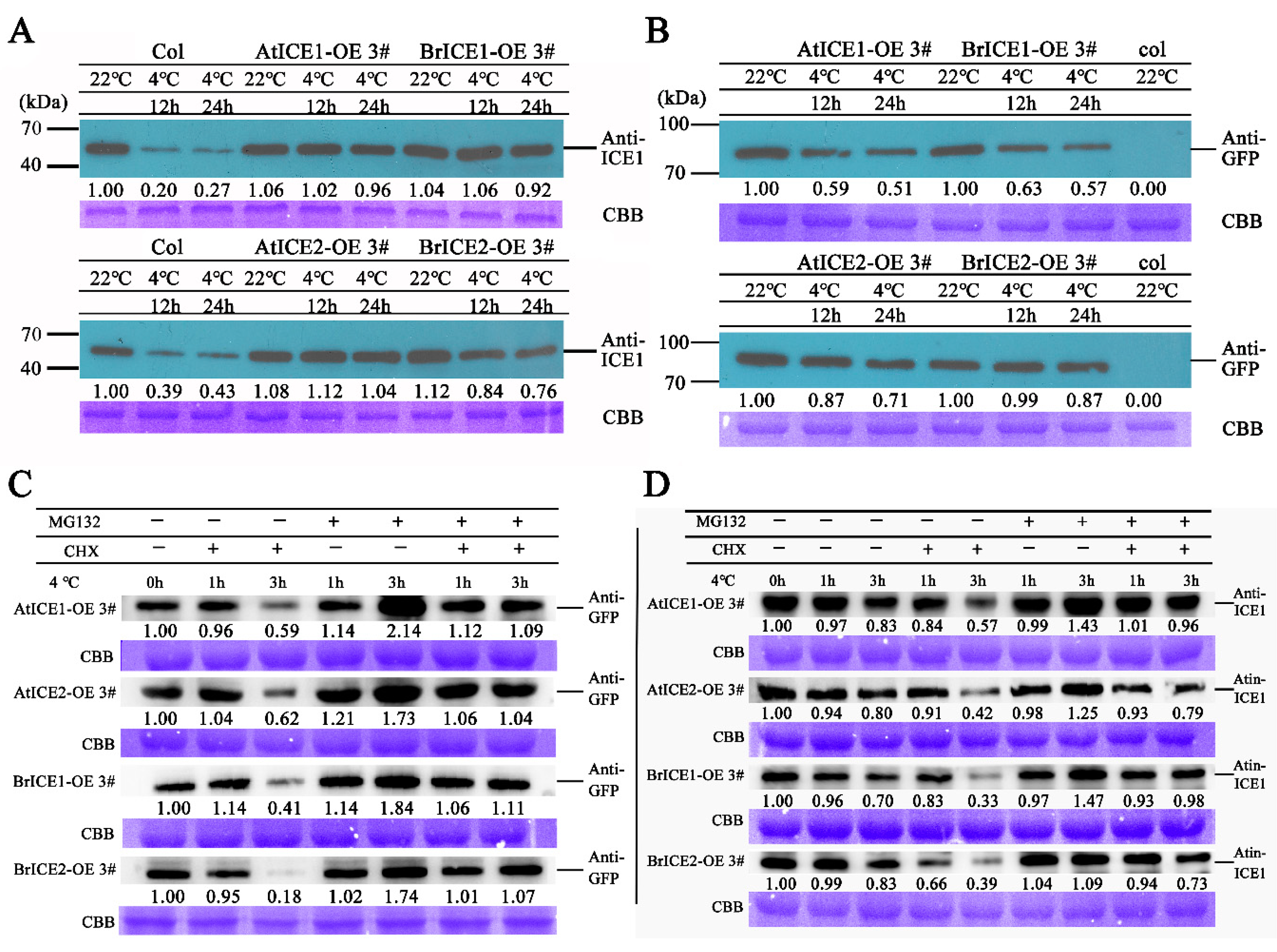 Preprints 117620 g009