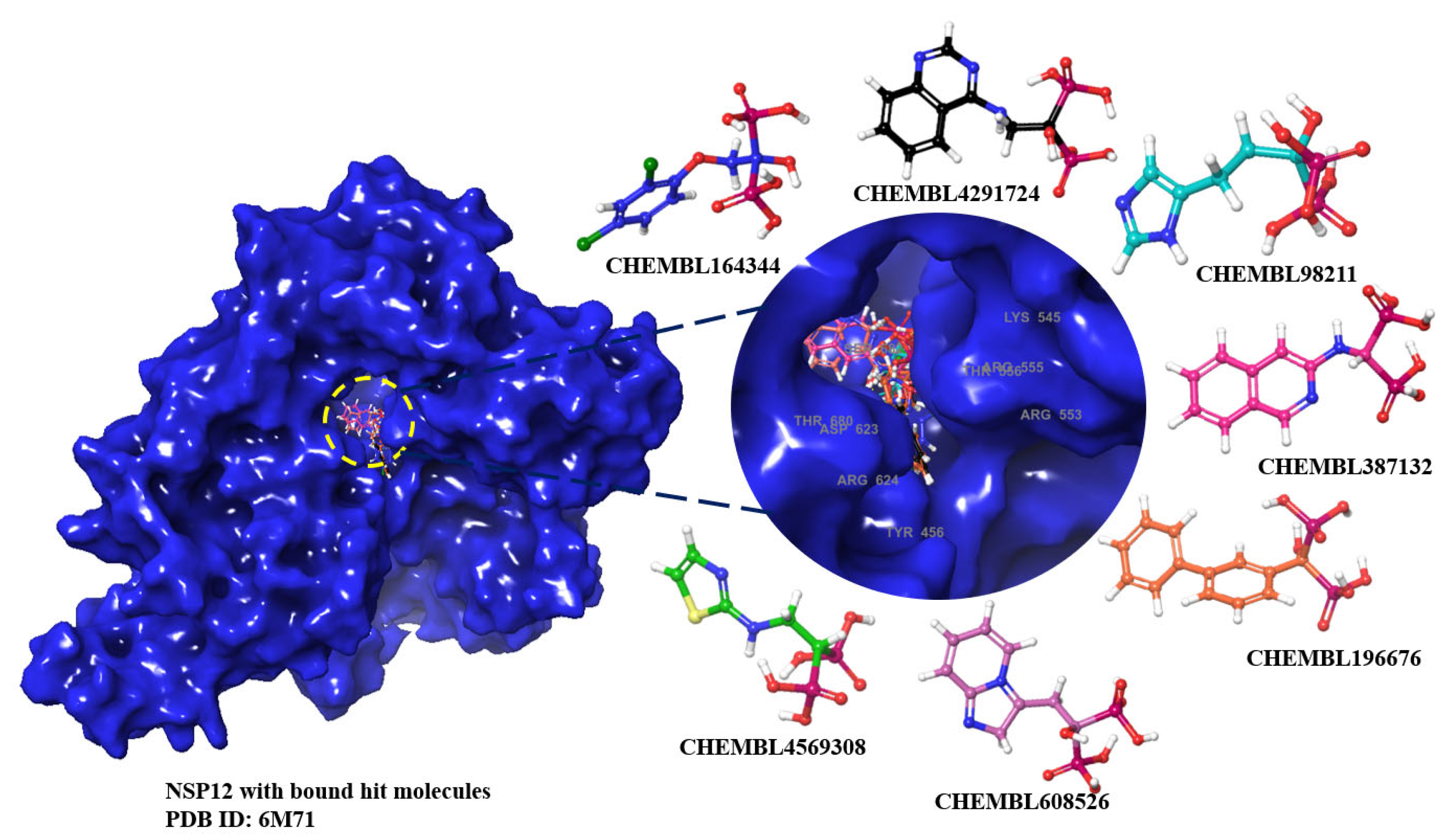 Preprints 99748 g002