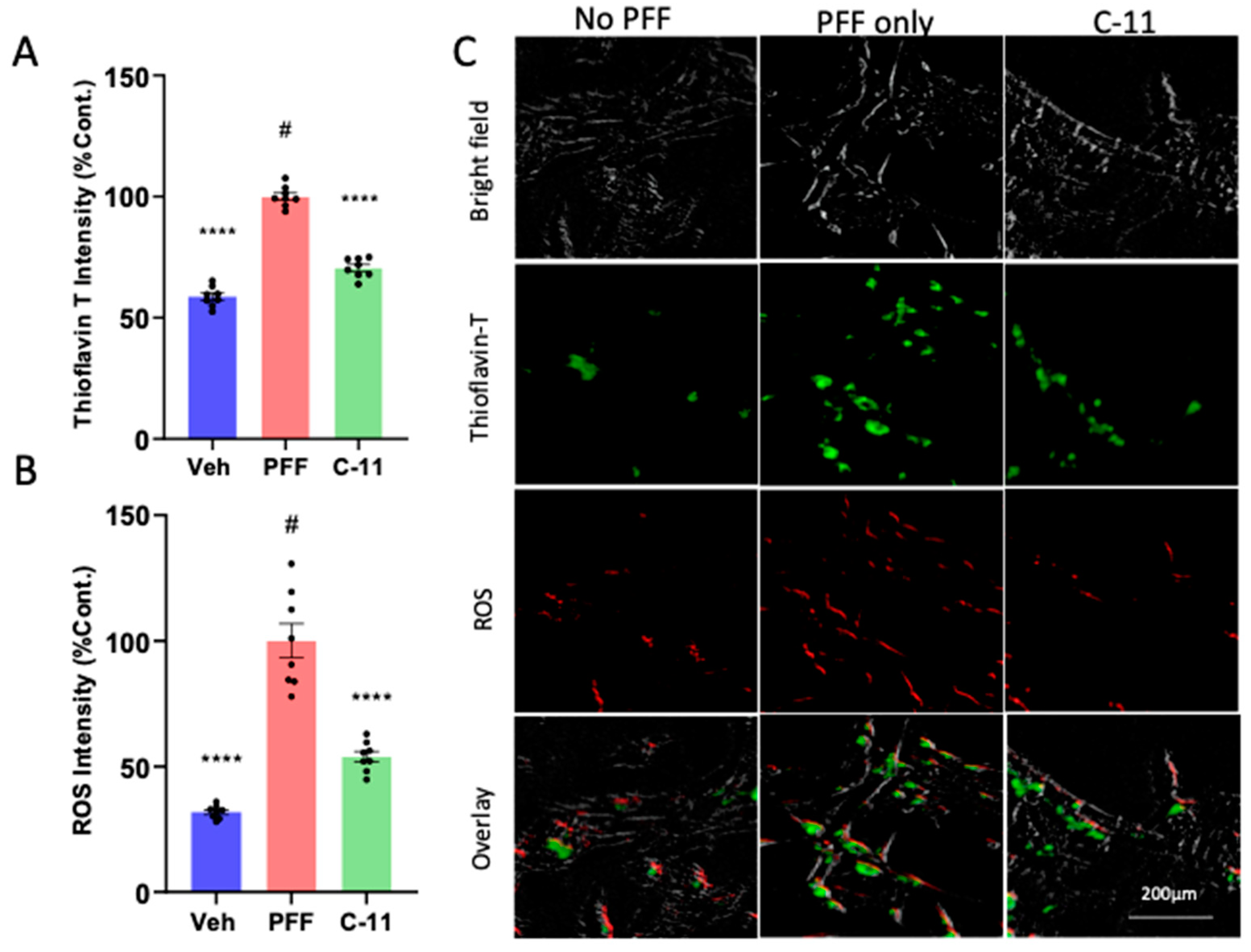 Preprints 82627 g002