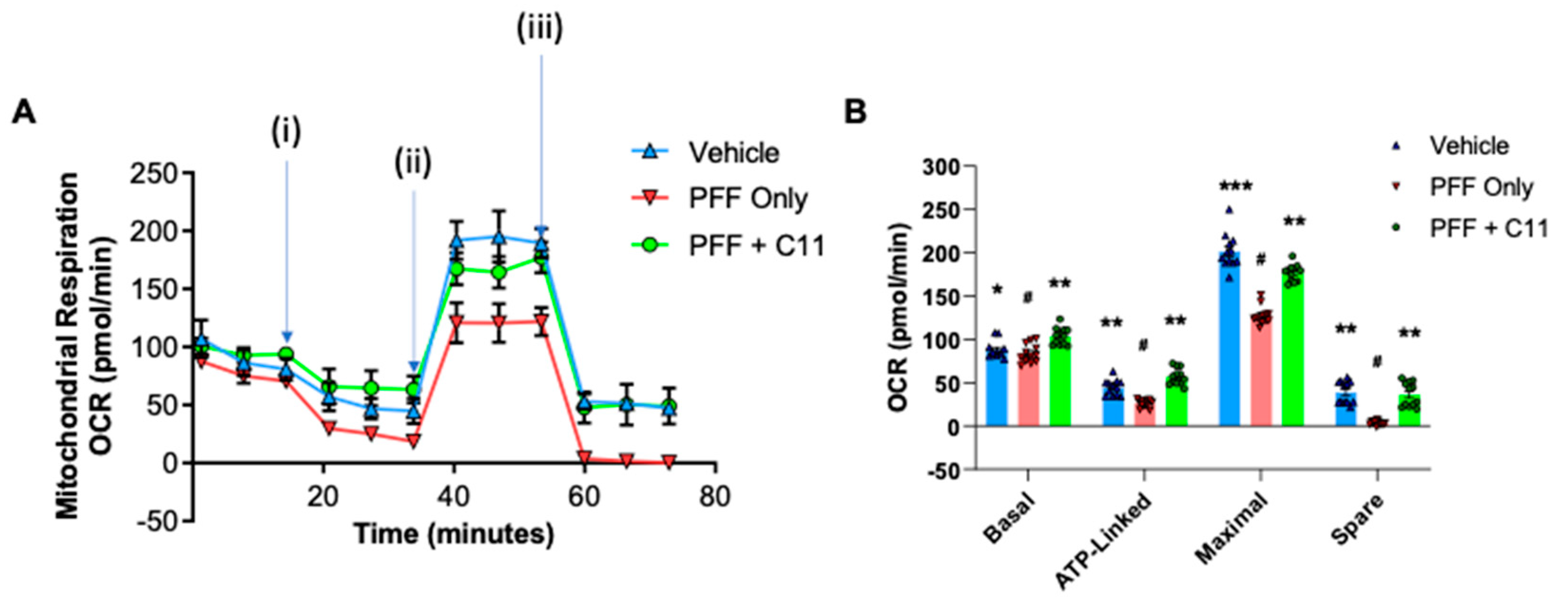 Preprints 82627 g003