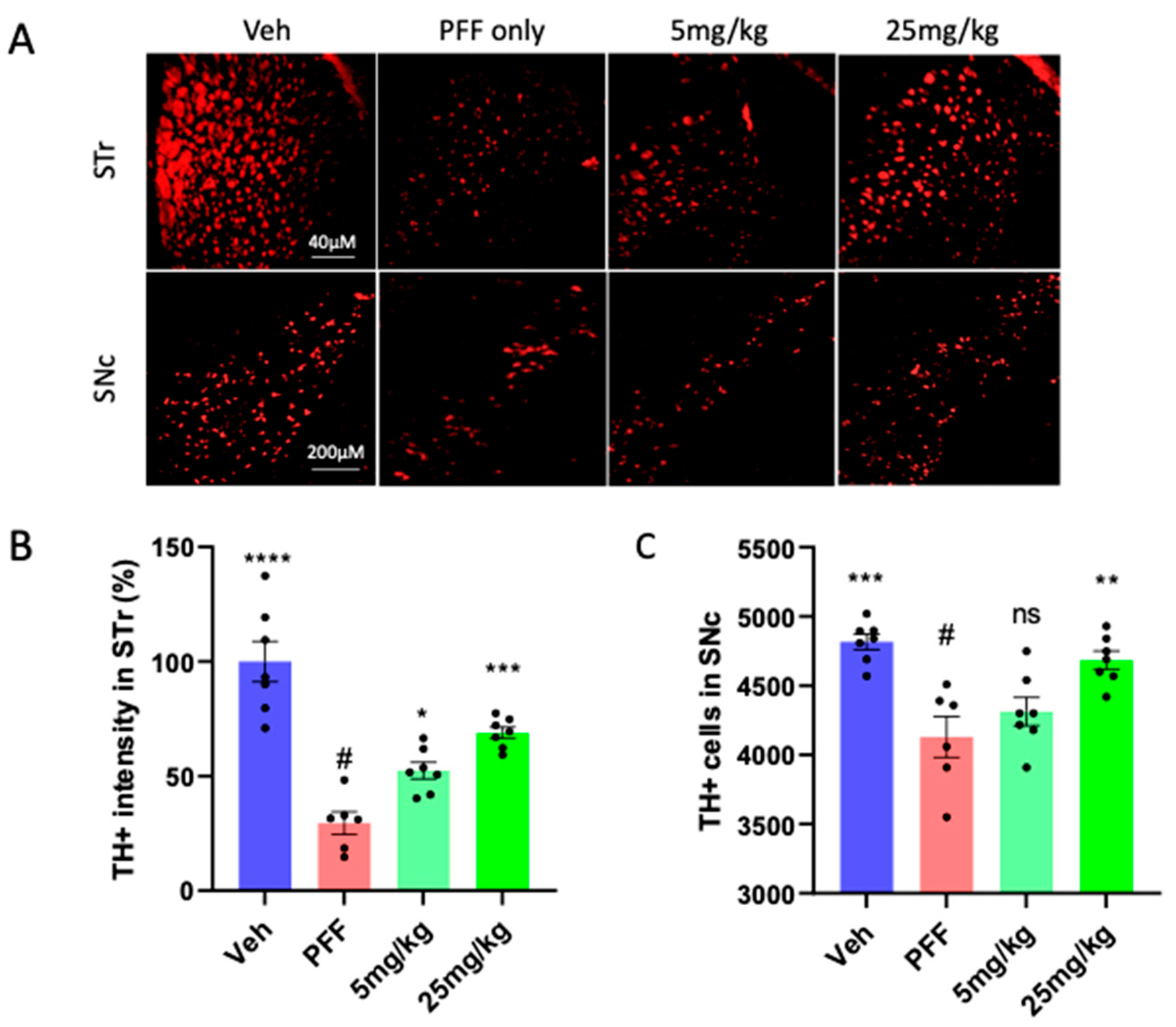 Preprints 82627 g005