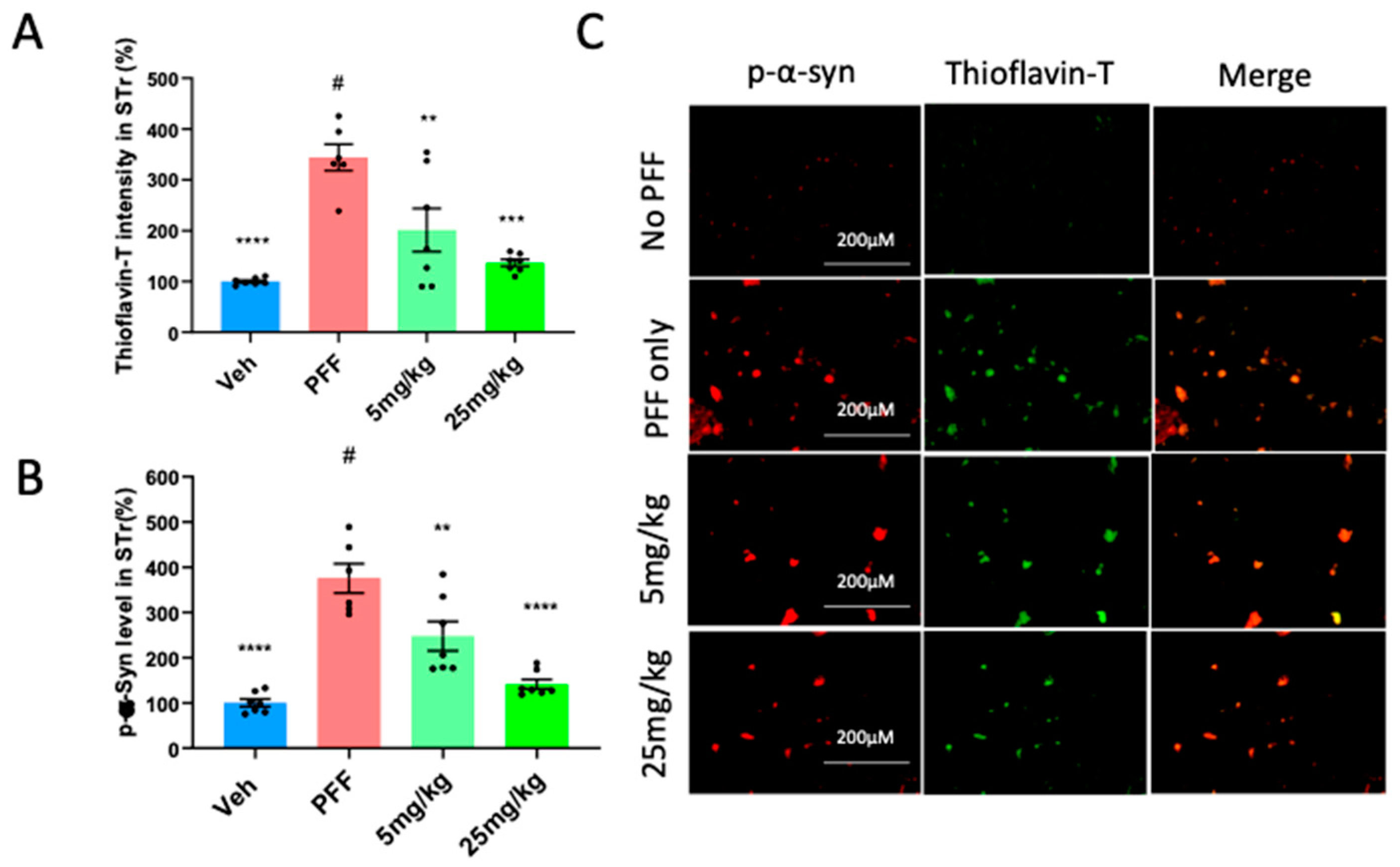 Preprints 82627 g006