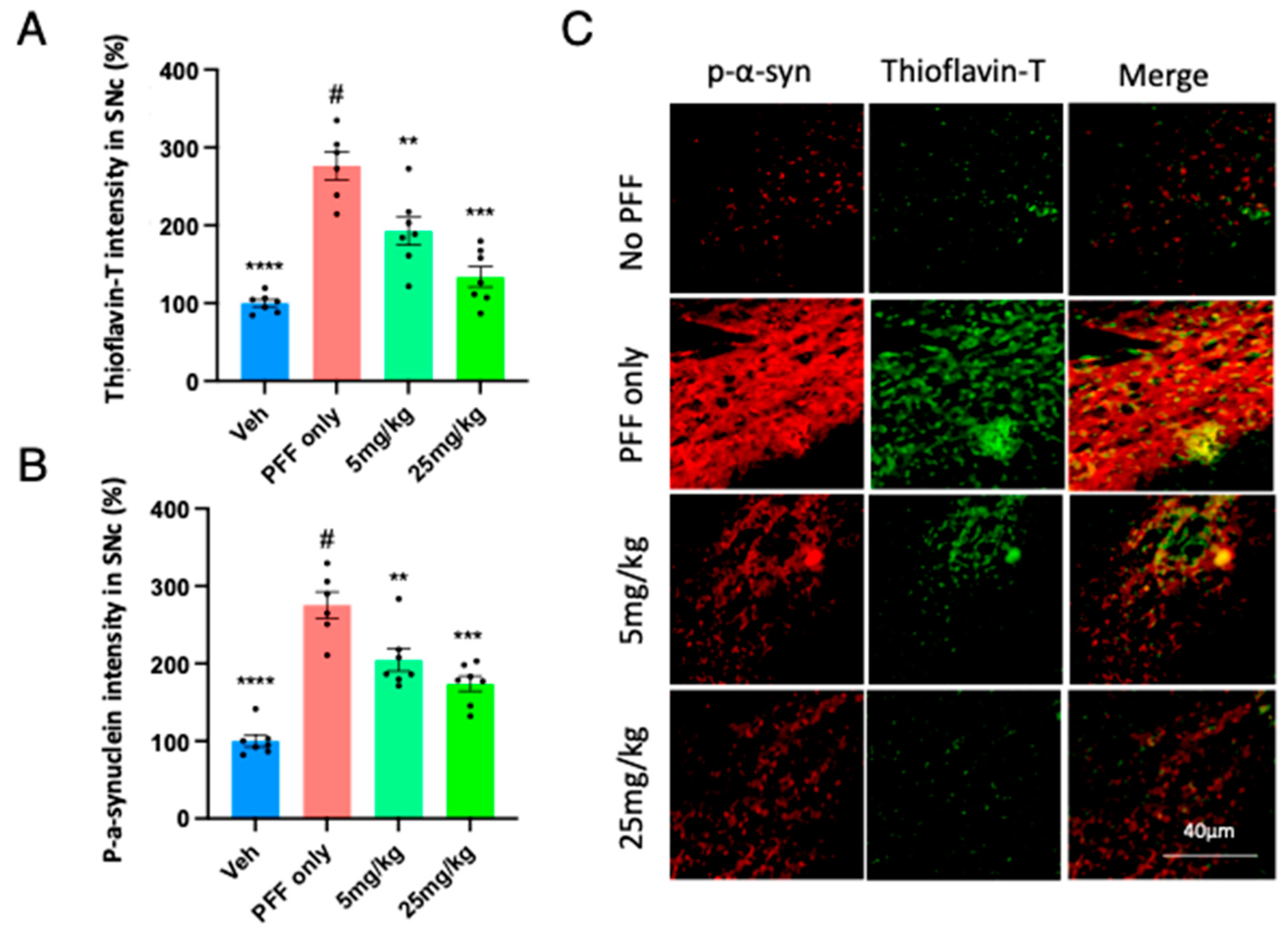 Preprints 82627 g007