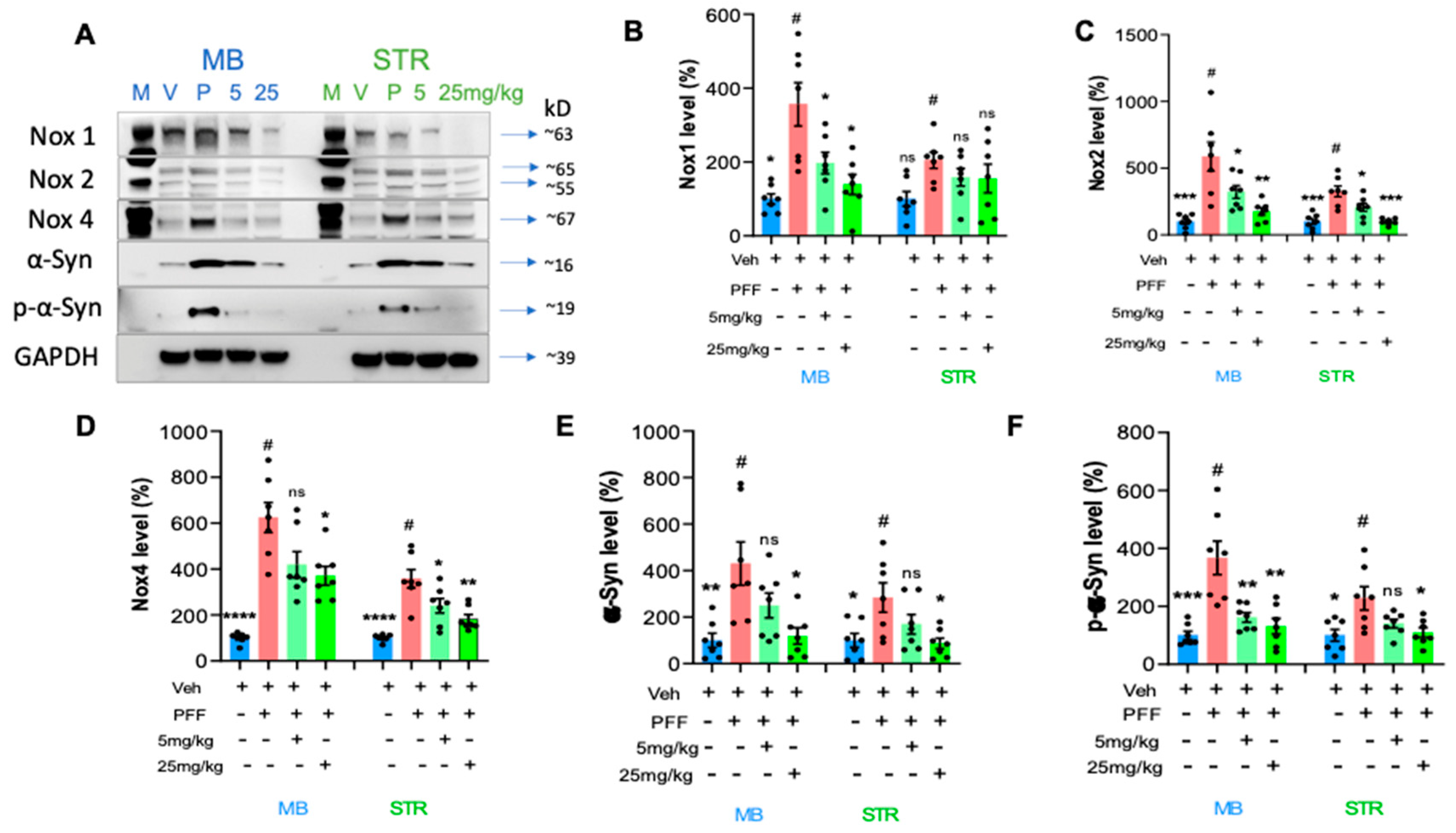 Preprints 82627 g008