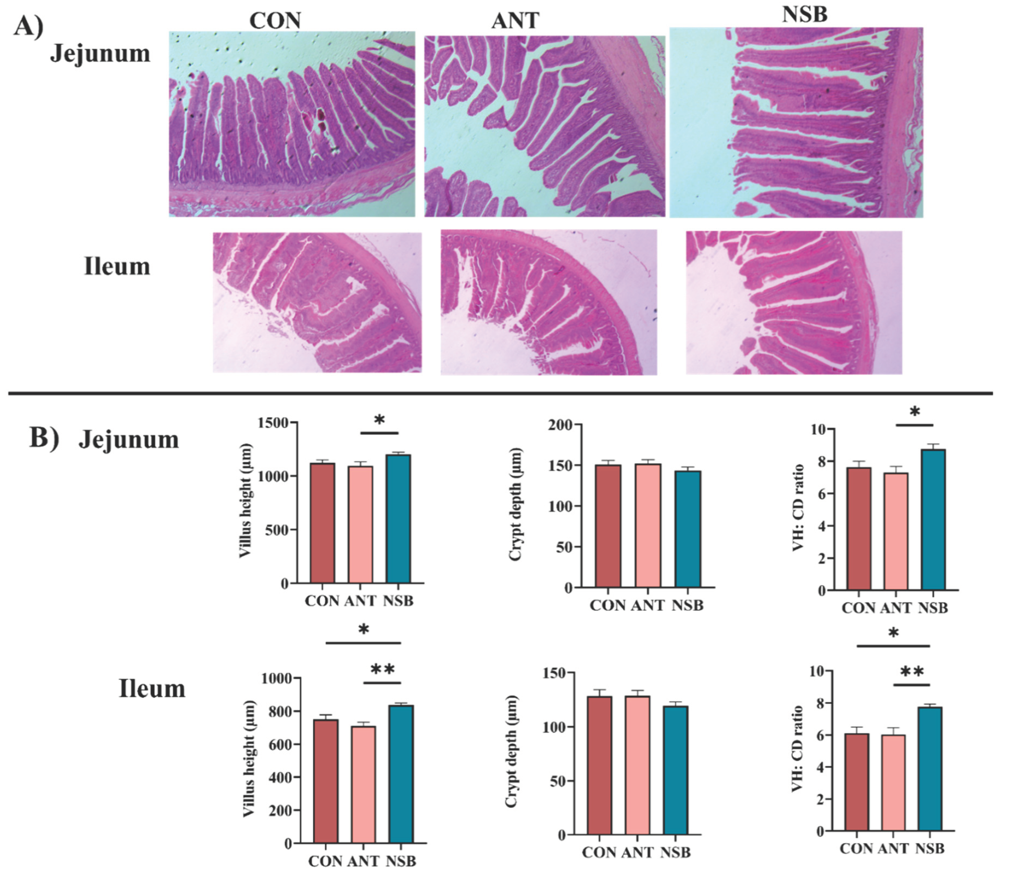 Preprints 102864 g002