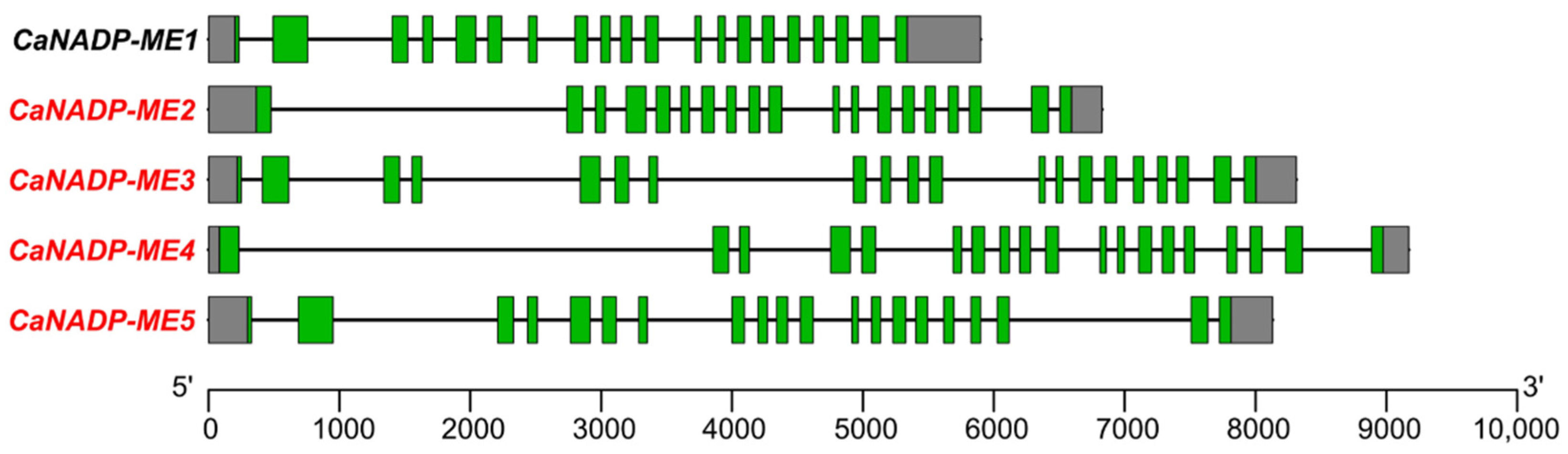 Preprints 74340 g001