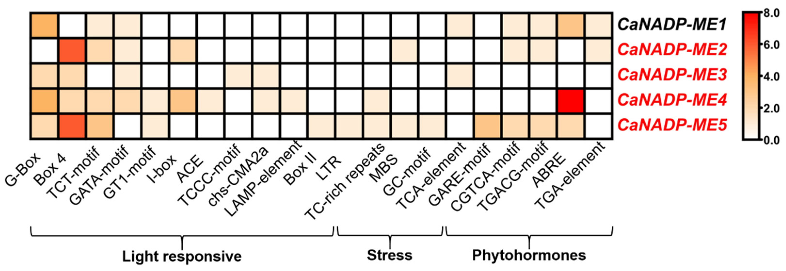 Preprints 74340 g002