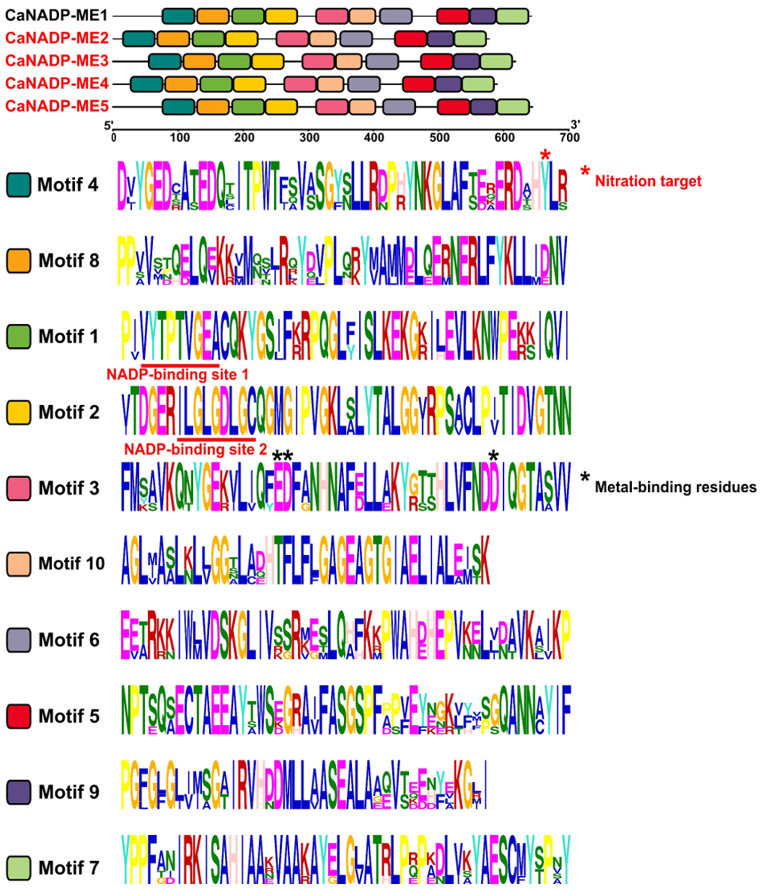 Preprints 74340 g003