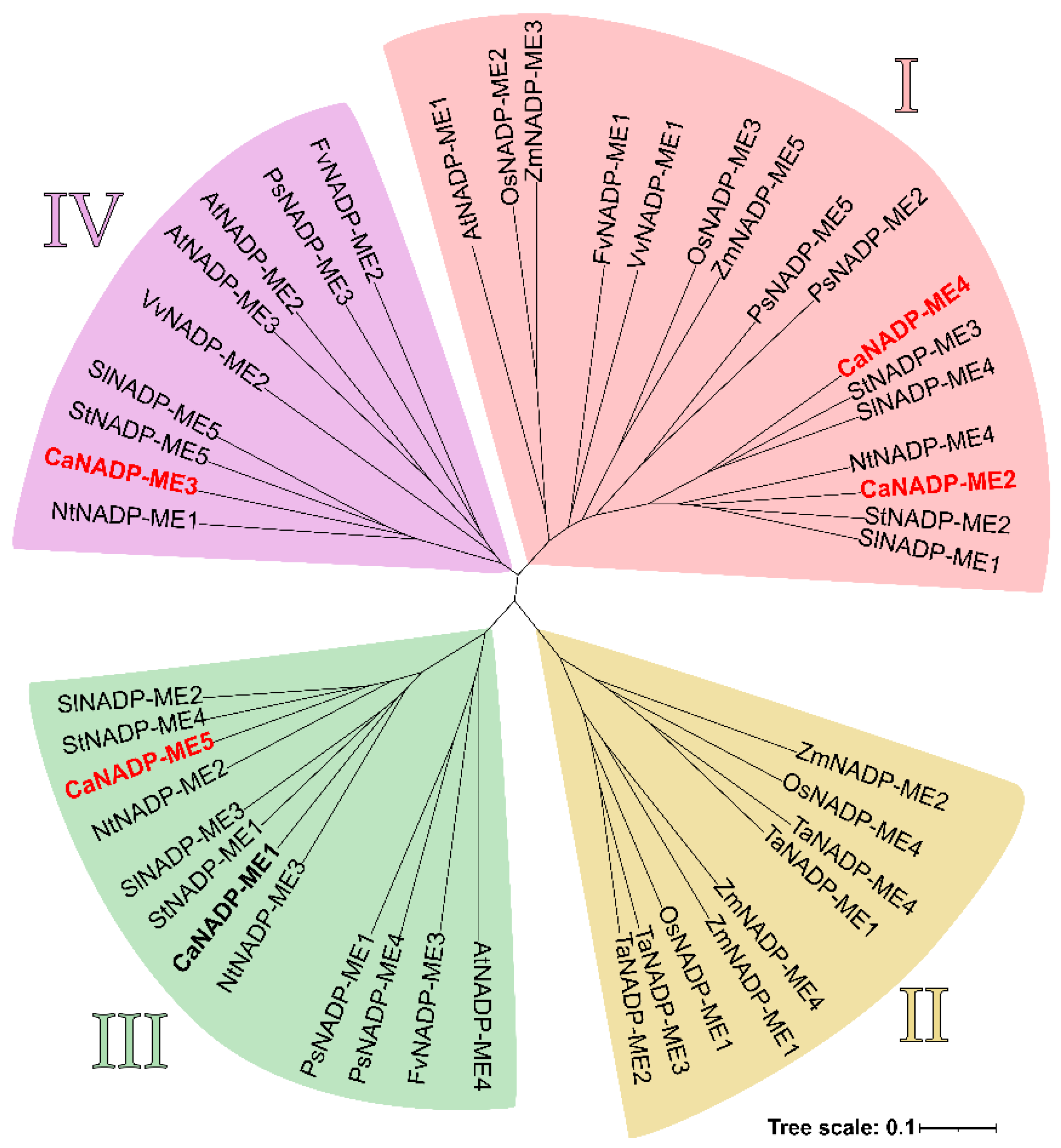 Preprints 74340 g004