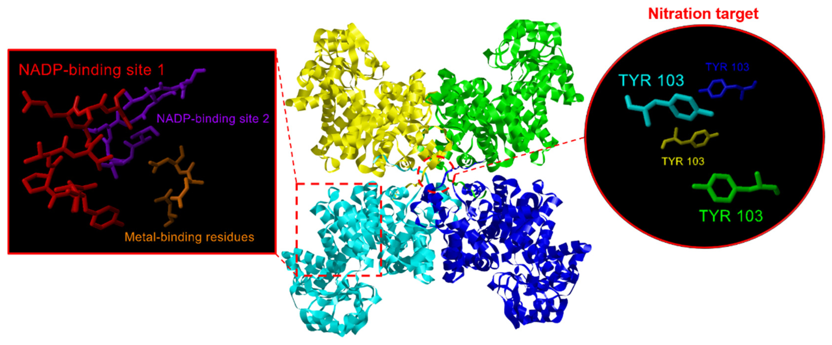 Preprints 74340 g005