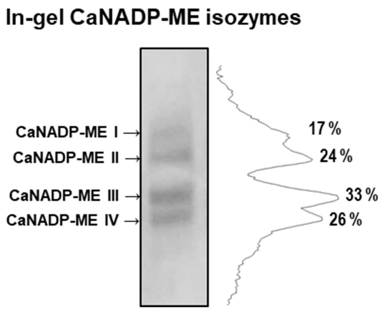 Preprints 74340 g007