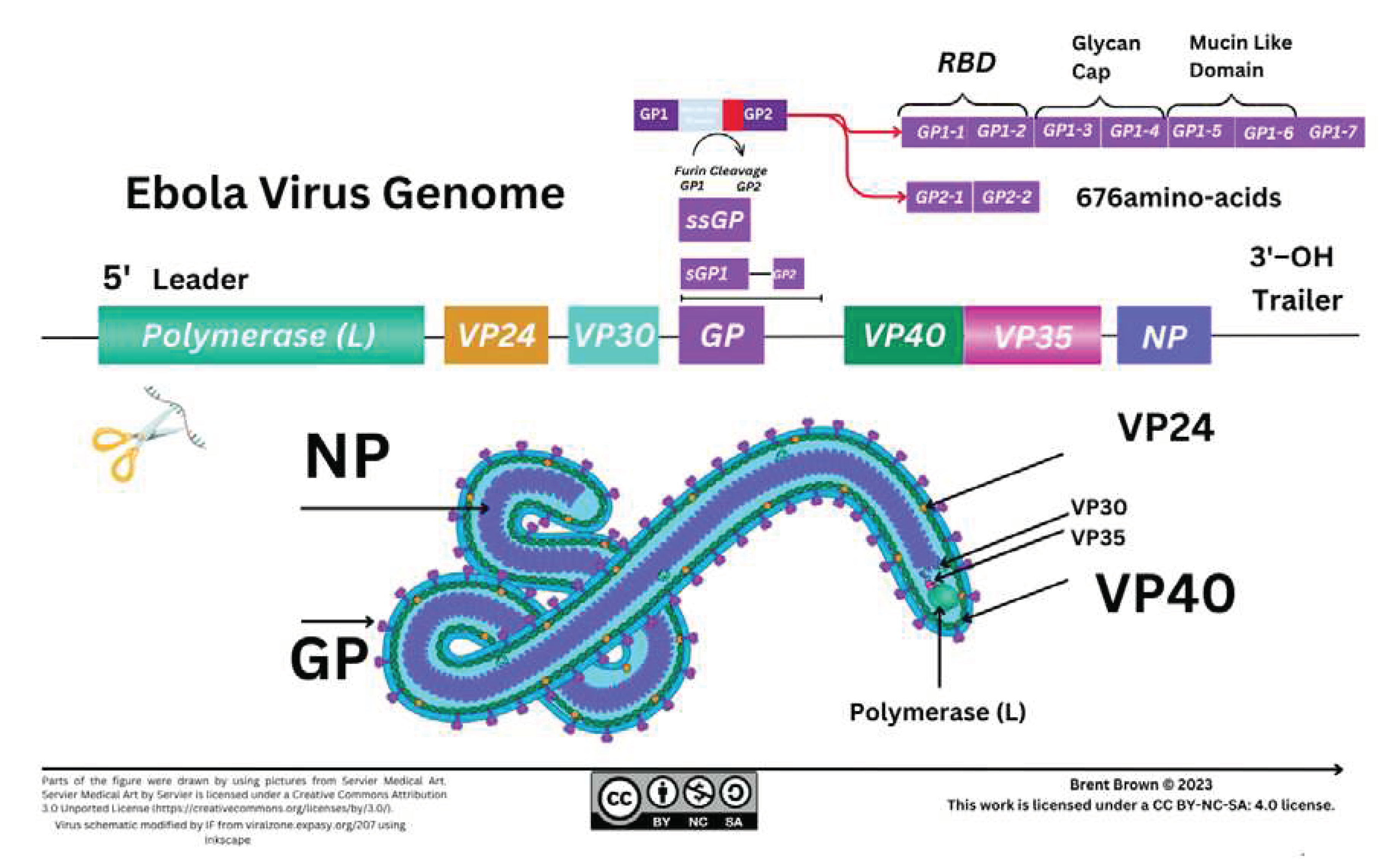 Preprints 78955 g001