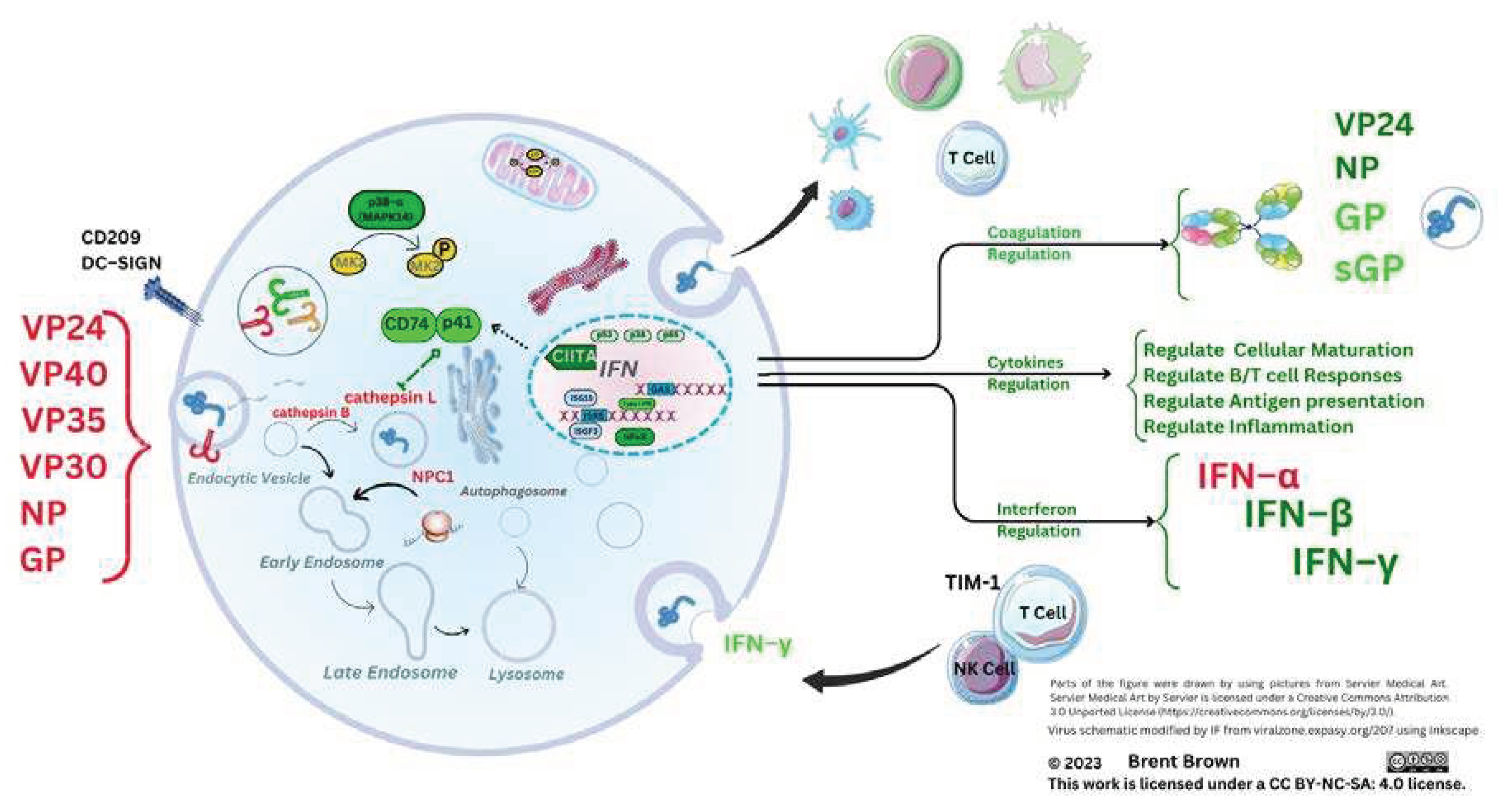 Preprints 78955 g002