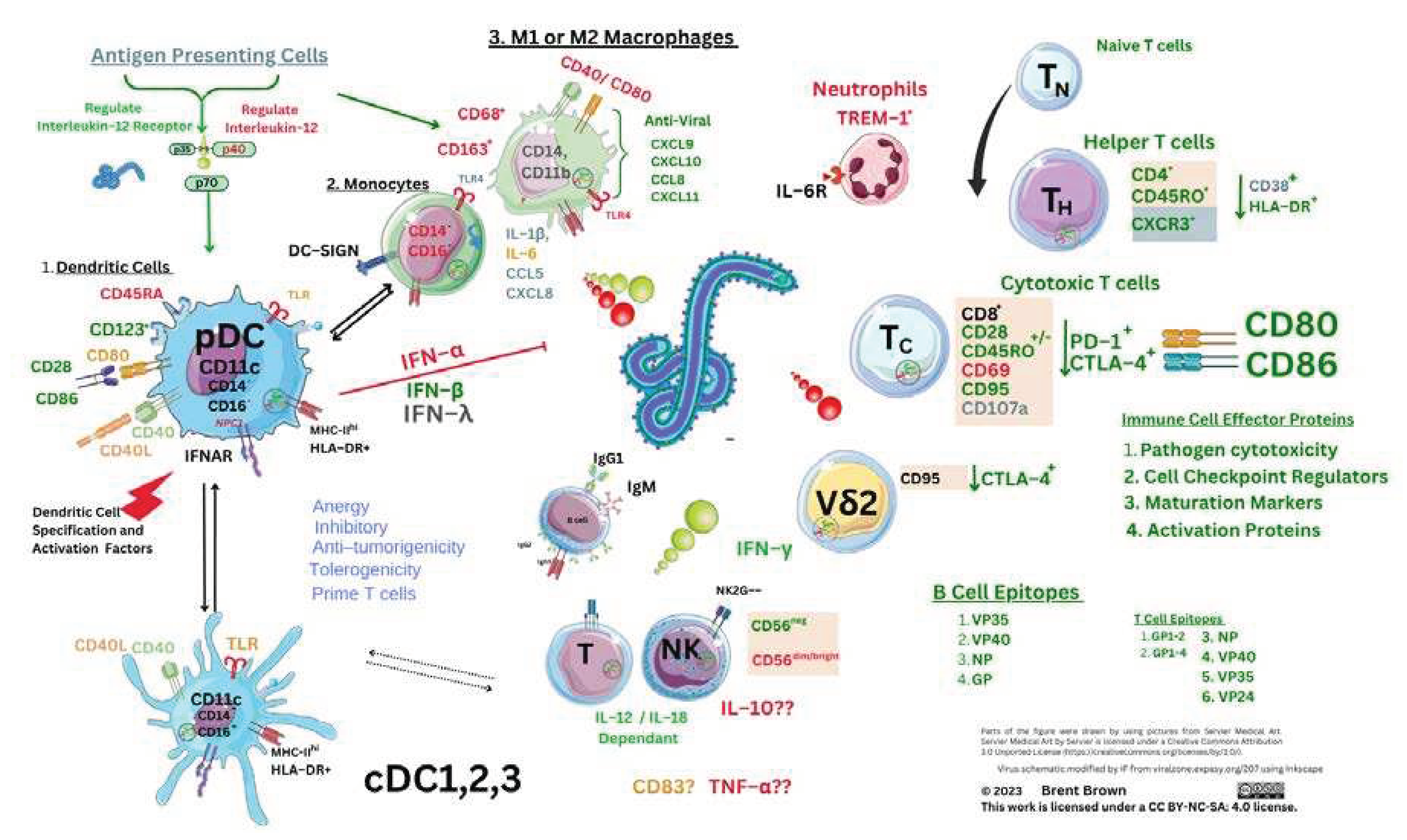 Preprints 78955 g004