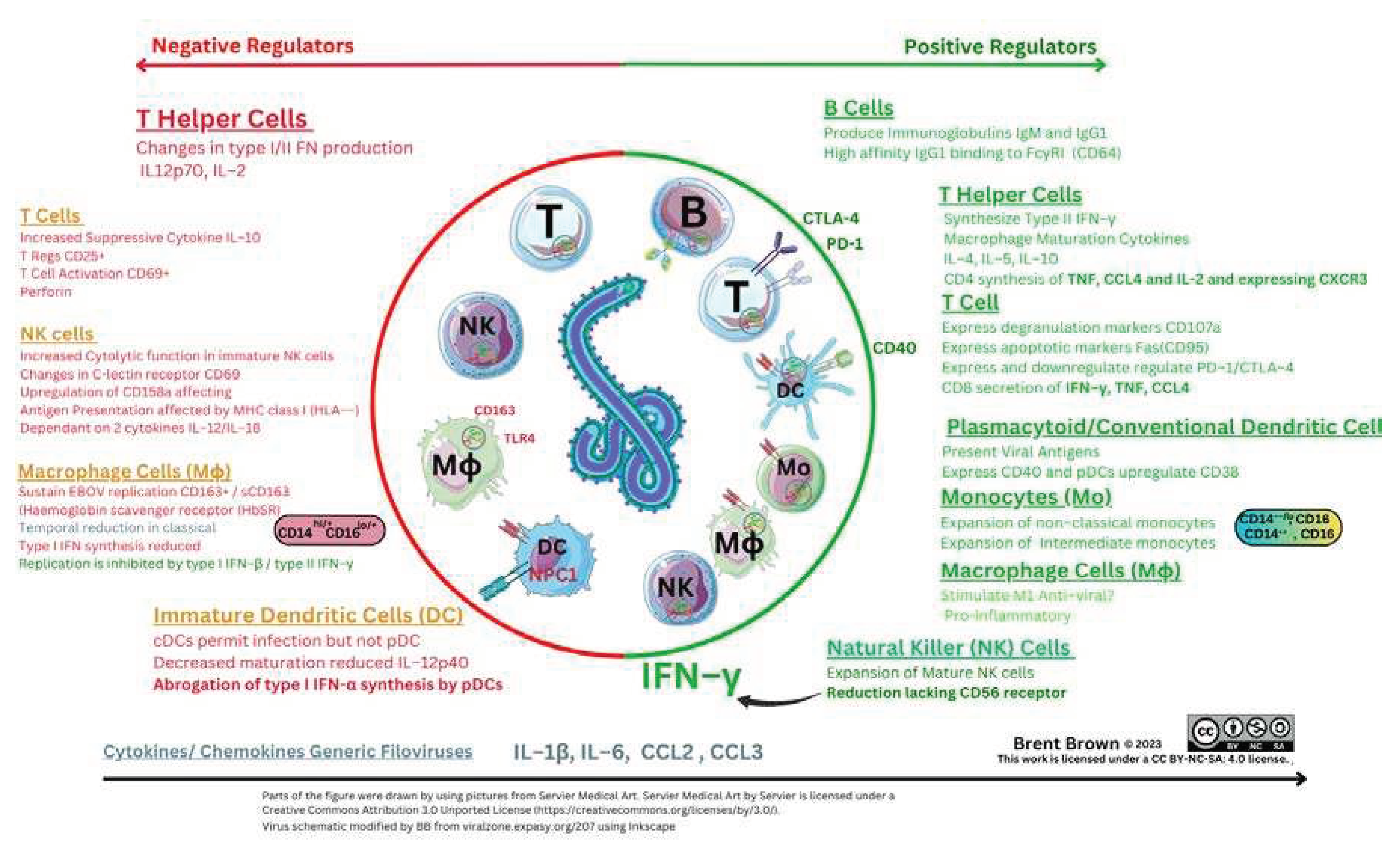 Preprints 78955 g005