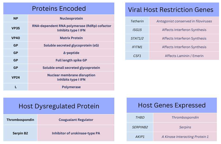 Preprints 78955 i001